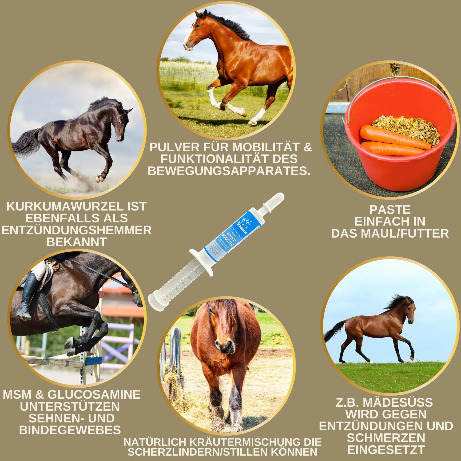 Equi P Pasta witaminowa Plus Glukozamina Chondroityna dla stawów ścięgna więzadła chrząstka 1 szt