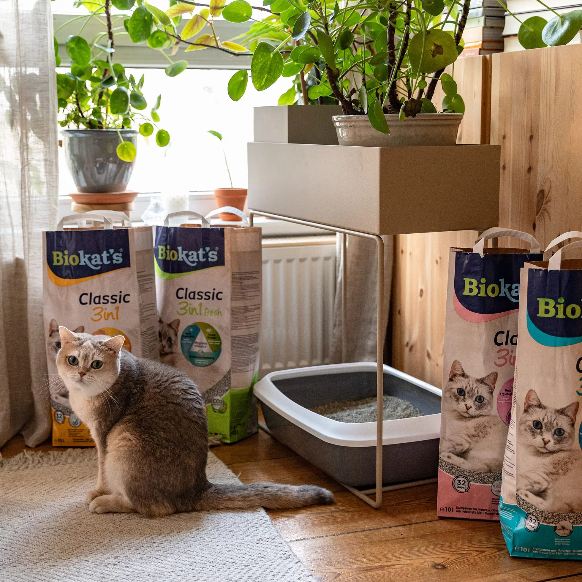 Biokatʼs Classic fresh 3in1 żwirek o zapachu Cotton Blossom - Zbrylający żwirek dla kota o 3 różnych rozmiarach ziarna - 1 worek (1 × 10 l)