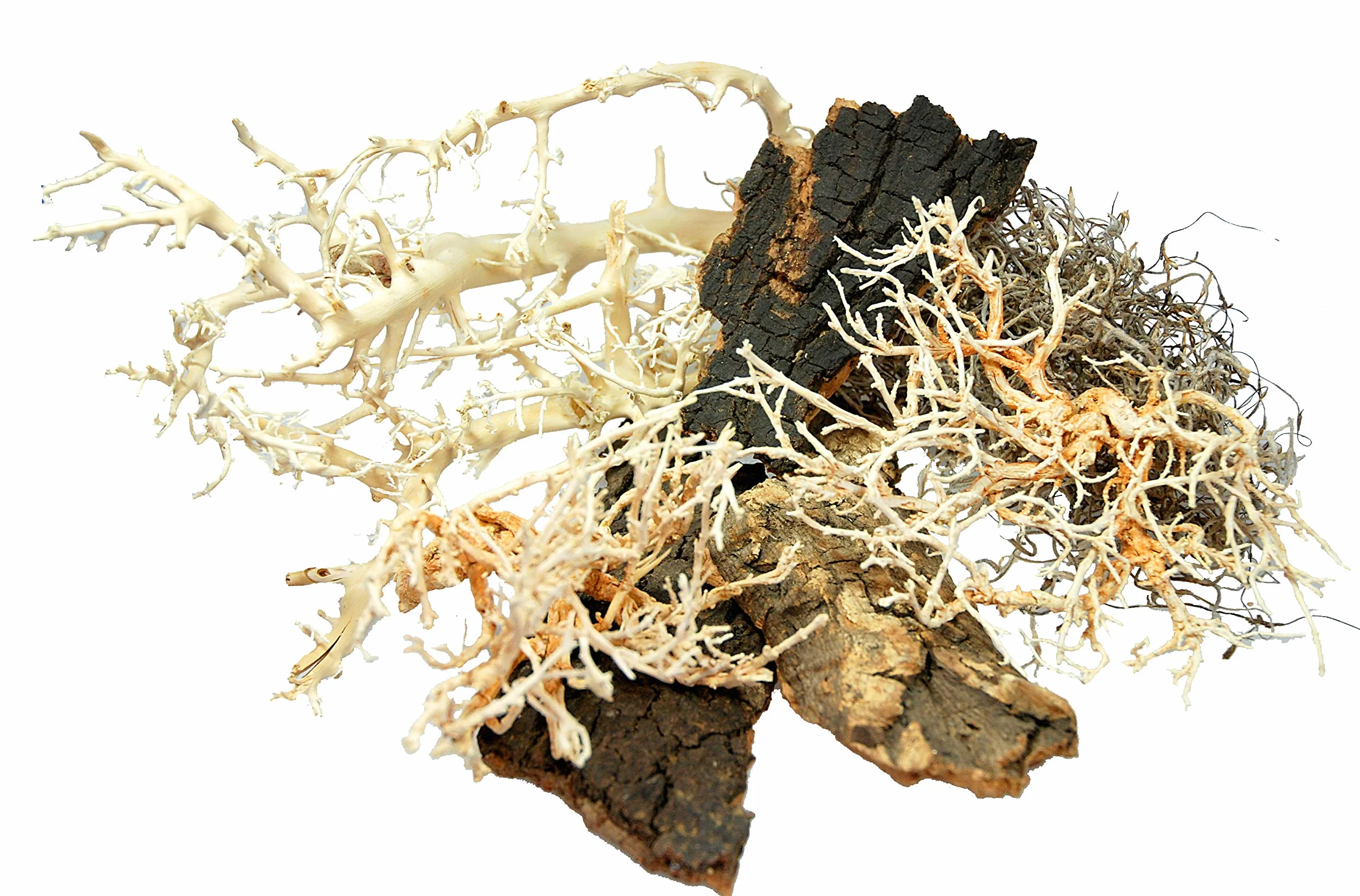 Lucky Reptile Life Experience LDS-01 Nano Dry Terrarium zestaw dekoracyjny z naturalnych materiałów o tematyce pustyni