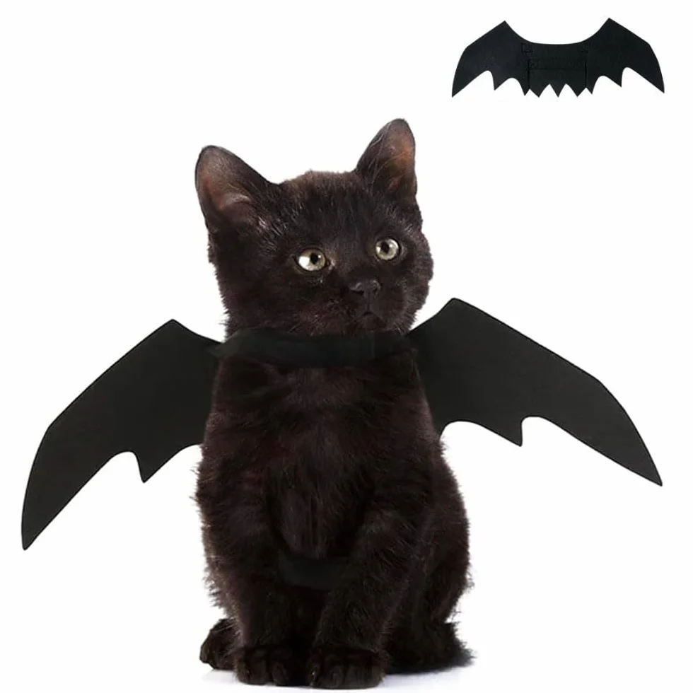 Kostium kota na Halloween skrzydła nietoperza dekoracja dla psa rozmiar S