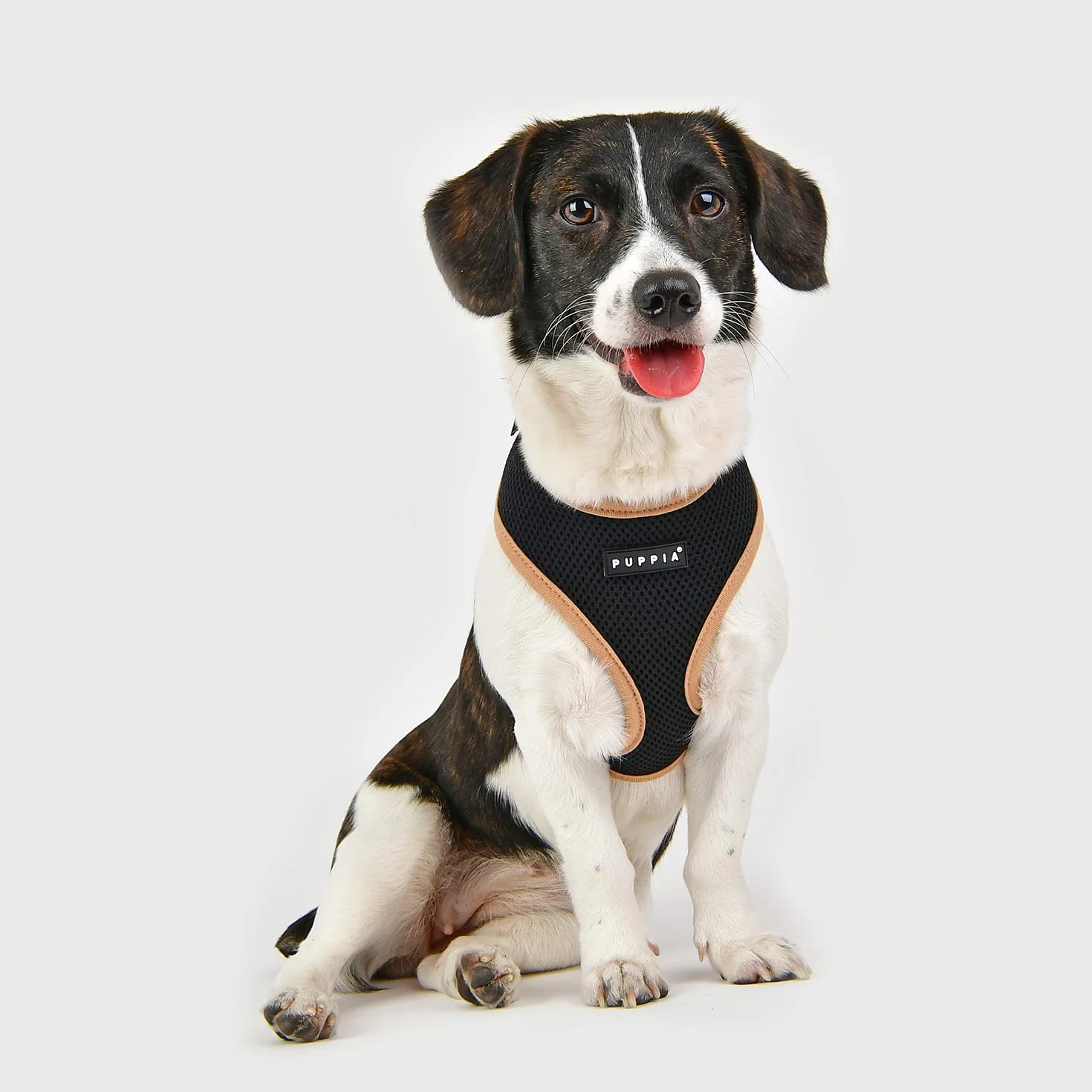 HARNESS SOFT II A BLACK M