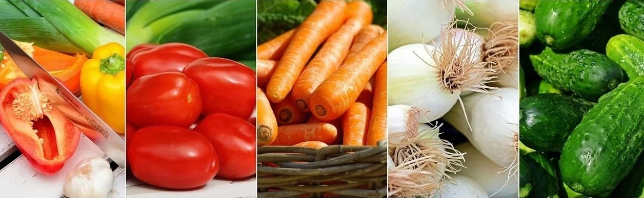 Nawóz Uniwersalny Ogrodniczy Azofoska 5kg Granulowany