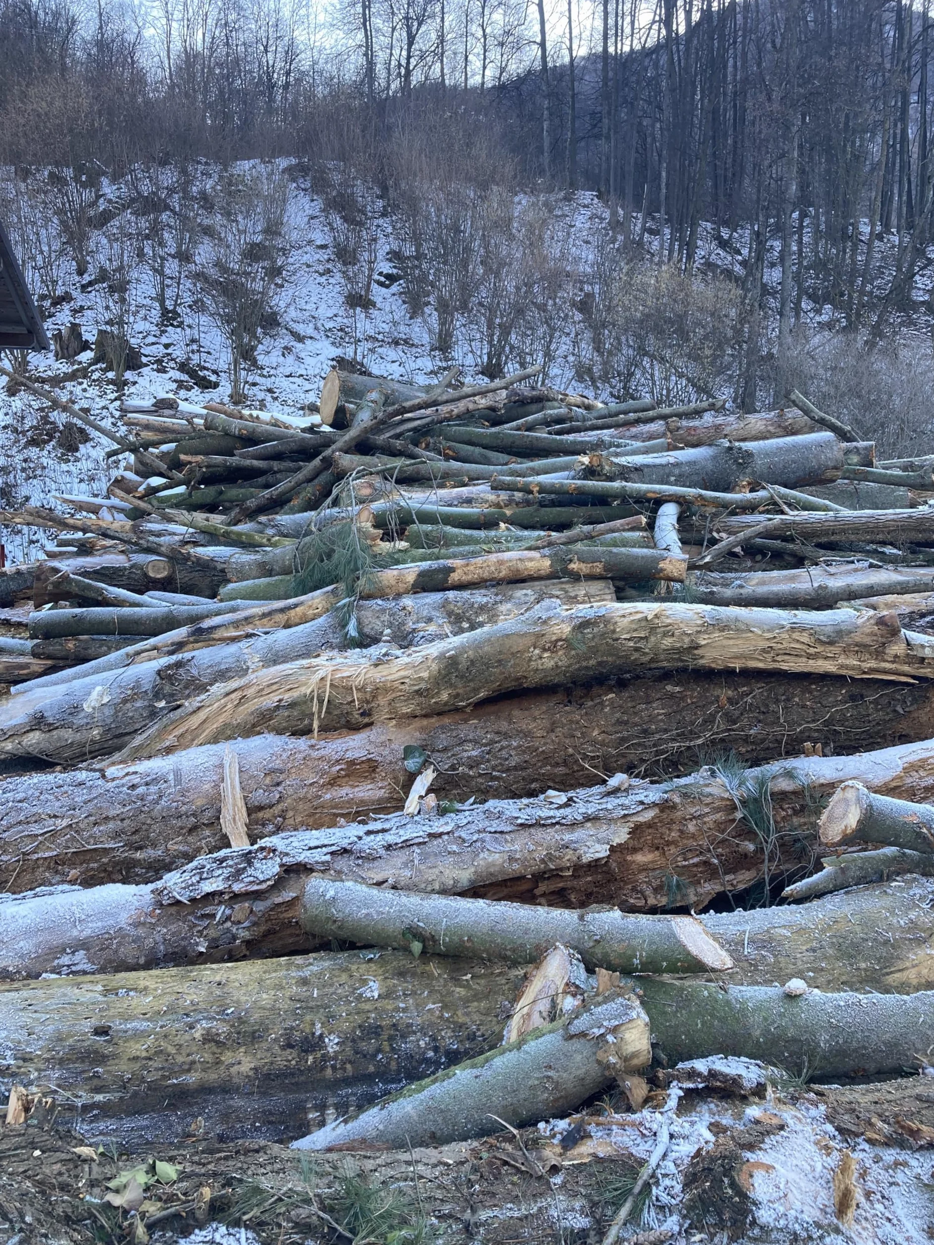Biochar - naturalny nawóz