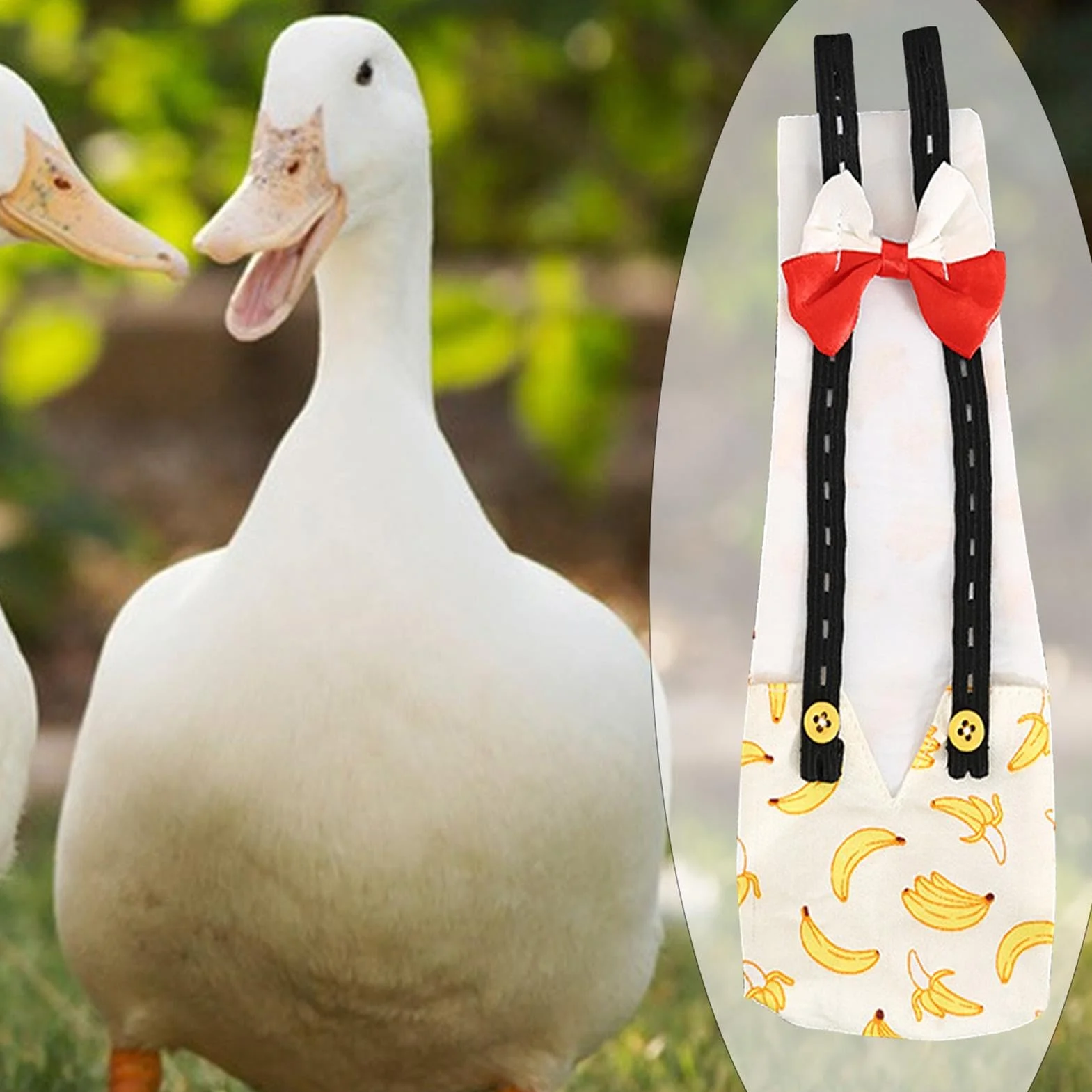 Pieluchy dla kaczek, pieluchy dla koguta, zmywalna pielucha dla kurczaka - Pieluchy dla kaczek wielokrotnego użytku z muszką, drukowane tkaniny pieluchy dla drobiu dla zwierząt