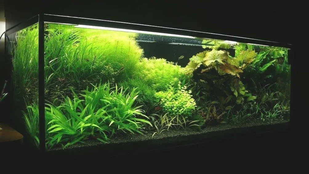 Żwirek do akwarium grafitowy 2-3mm 8kg podłoże pod rośliny