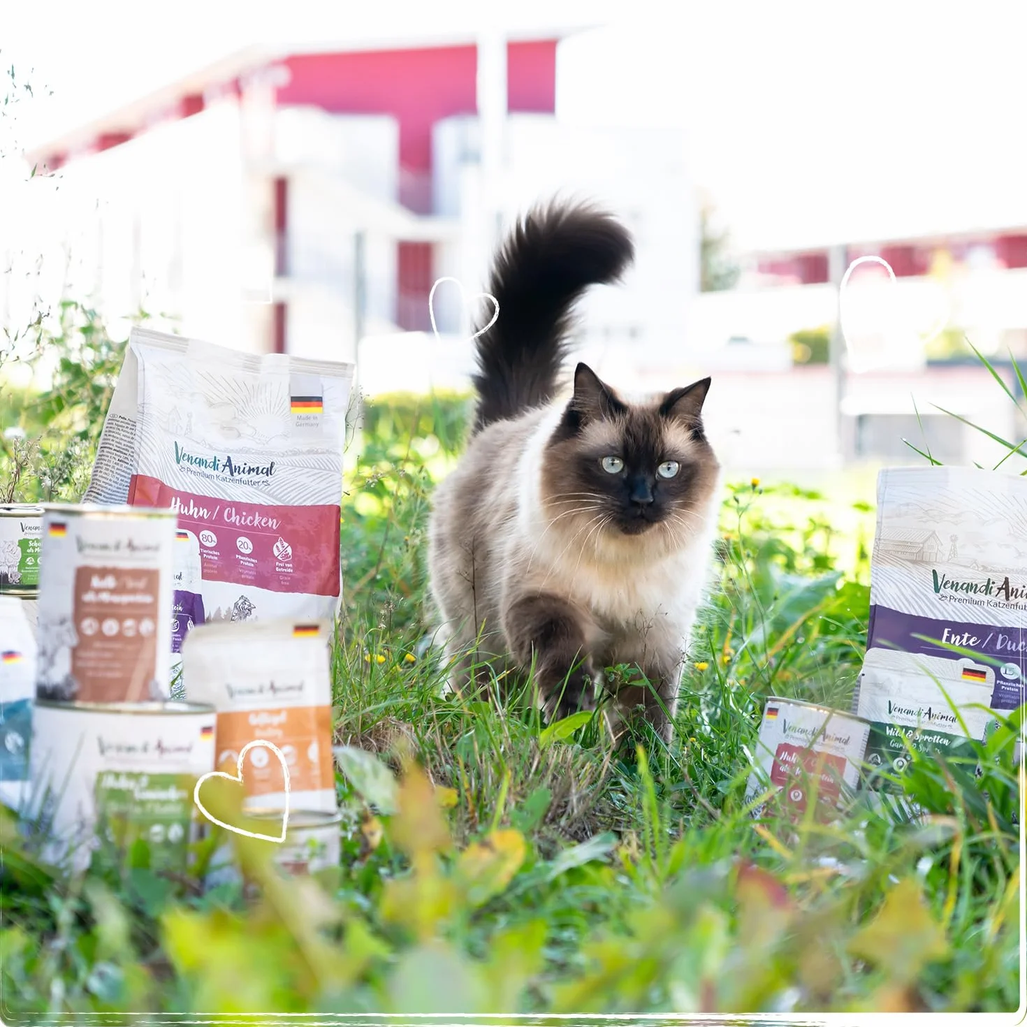 Venandi Animal Mokra karma premium dla kotów pakiet próbny III 6 x 200 g monoproteina bez zbóż