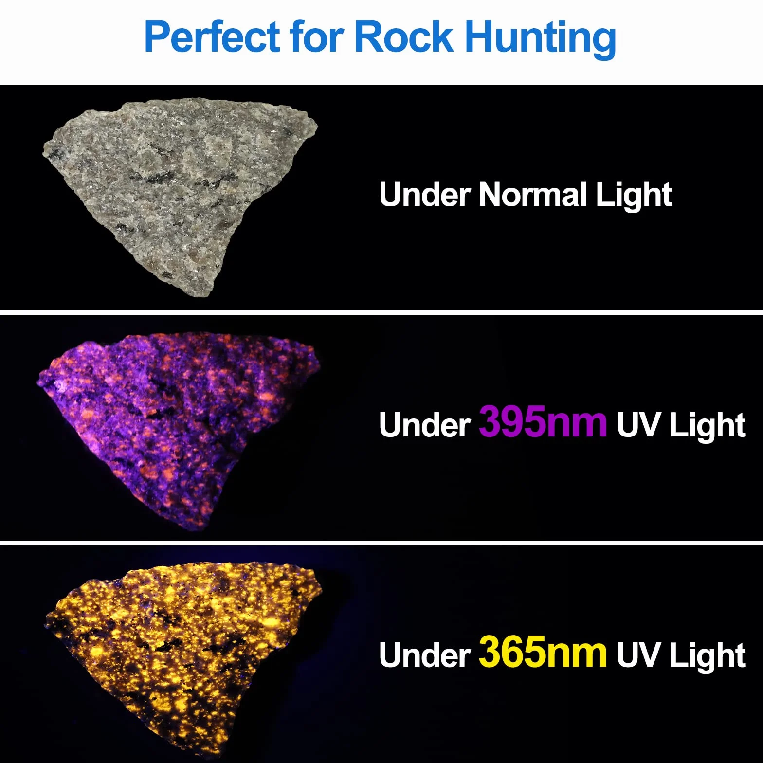 Vansky Blacklight UV Light 365nm latarka UV detektor moczu dla zwierząt psów kotów polowanie na skały