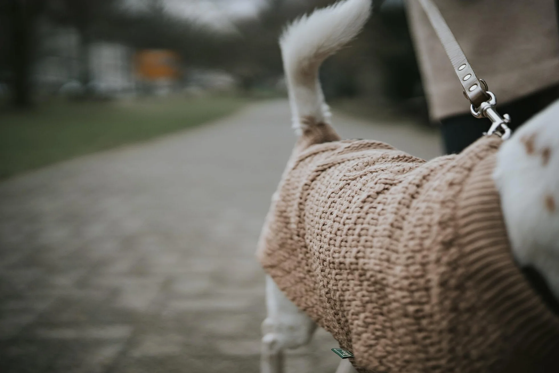 HUNTER Malmo Sweter dla psa, 40 cm, beżowy