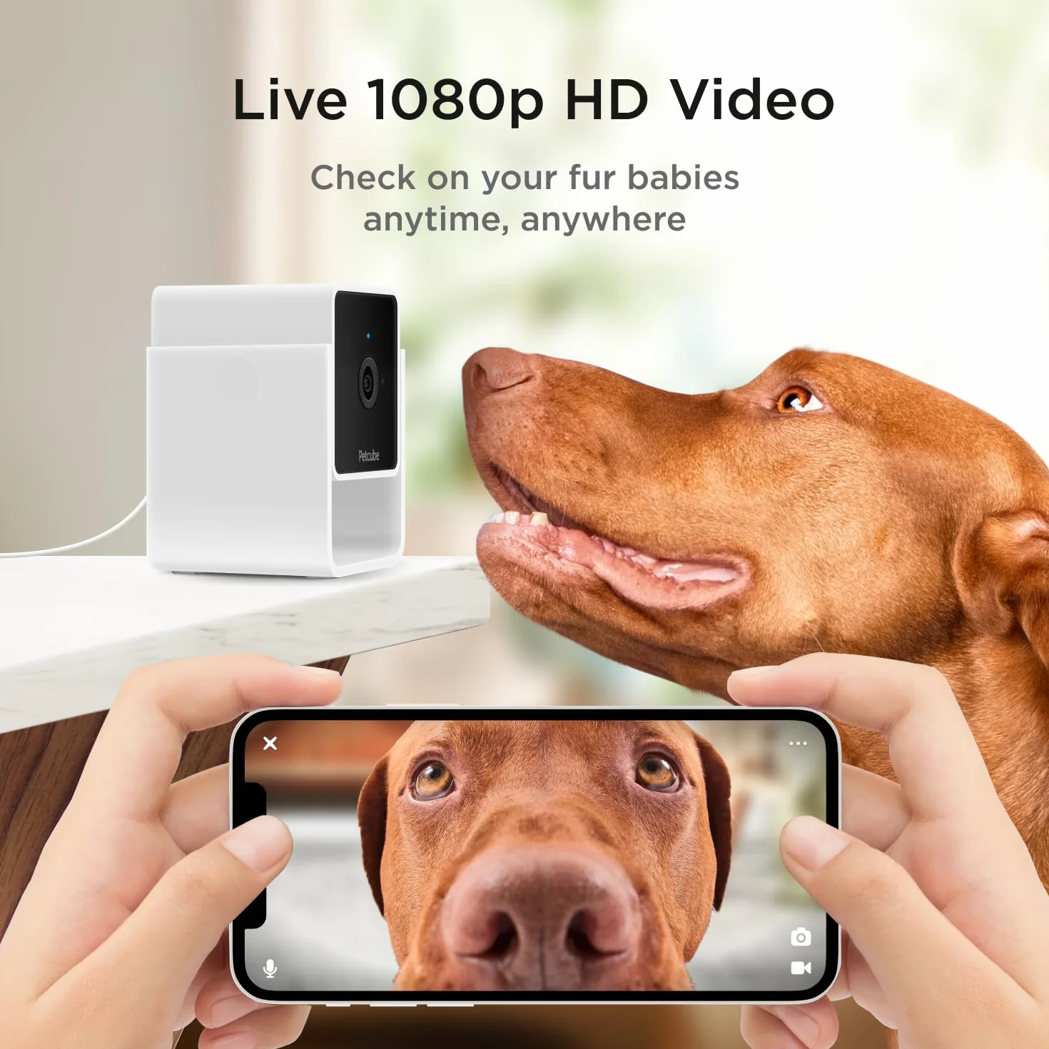 Petcube Cam, kamera monitorująca zwierzęta domowe z wbudowanym czatem weterynaryjnym dla kotów i psów, kamera bezpieczeństwa z wideo HD 1080p, noktowizor, dwukierunkowy dźwięk, mocowanie magnesem