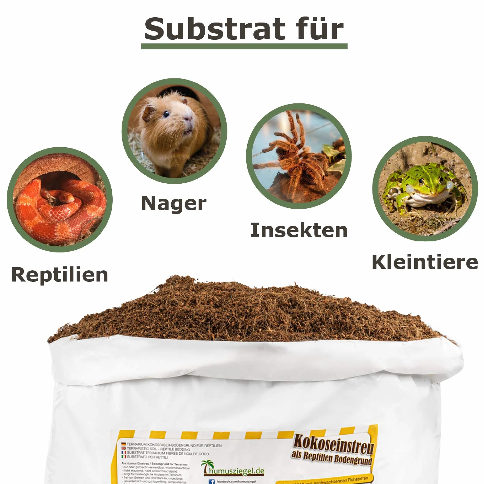 Podłoże terrarium ziemia kokosowa sucha 20 l worek dla gadów