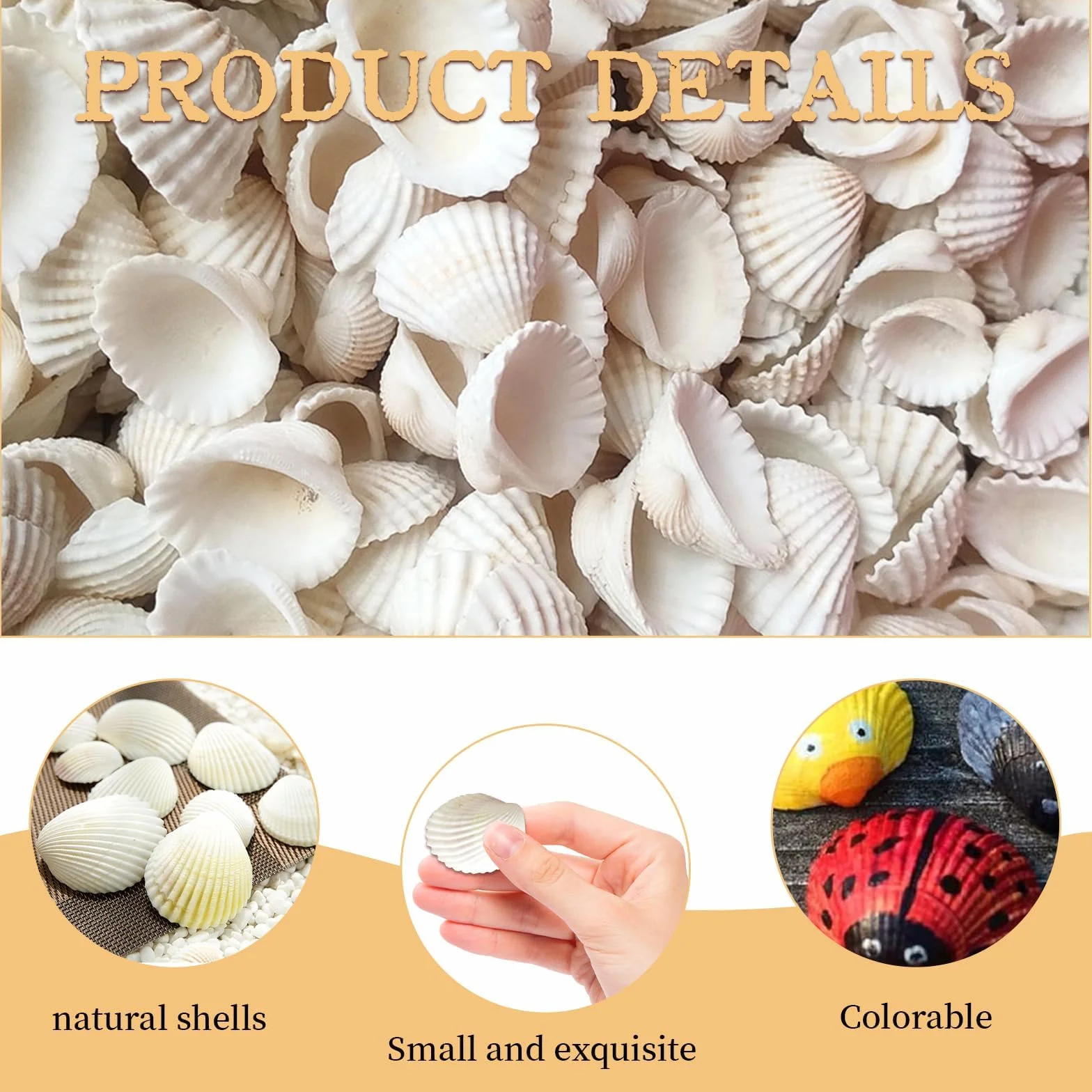 Białe muszle do majsterkowania, 280g, 20-35 mm, krążki muszli, wypełnianie wazonów, muszle, białe, nadają się na imprezy plażowe, dekoracje ślubne, akwaria i do produkcji biżuterii