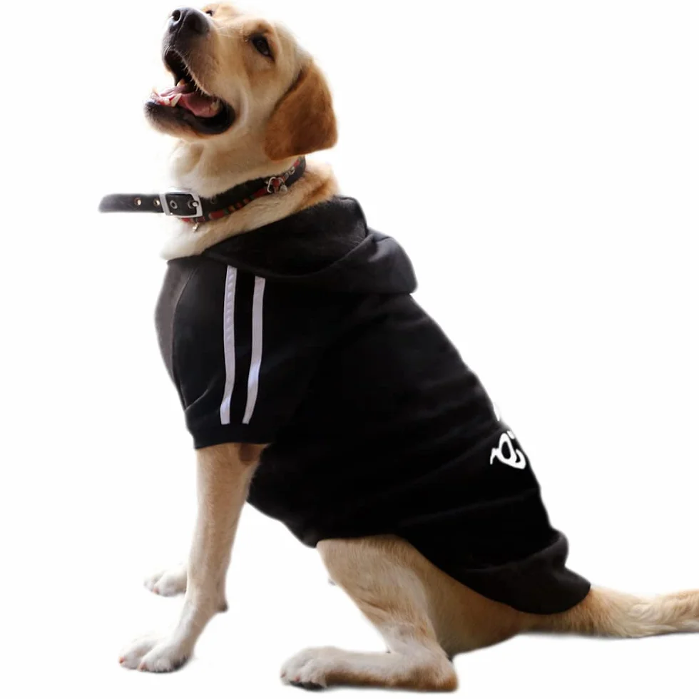 Bluza z kapturem dla psów bawełna czarny 8XL