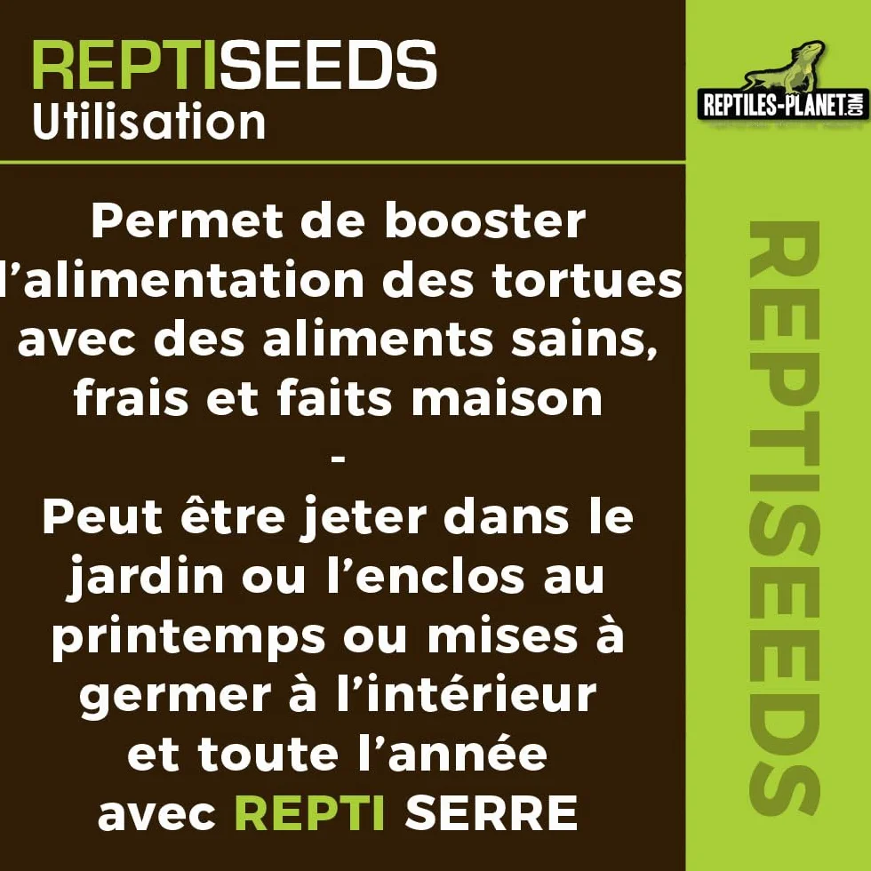 Reptiles Planet - Reptiseeds - Mieszanka nasion kiełkujących żółwia ziemnego - 100g