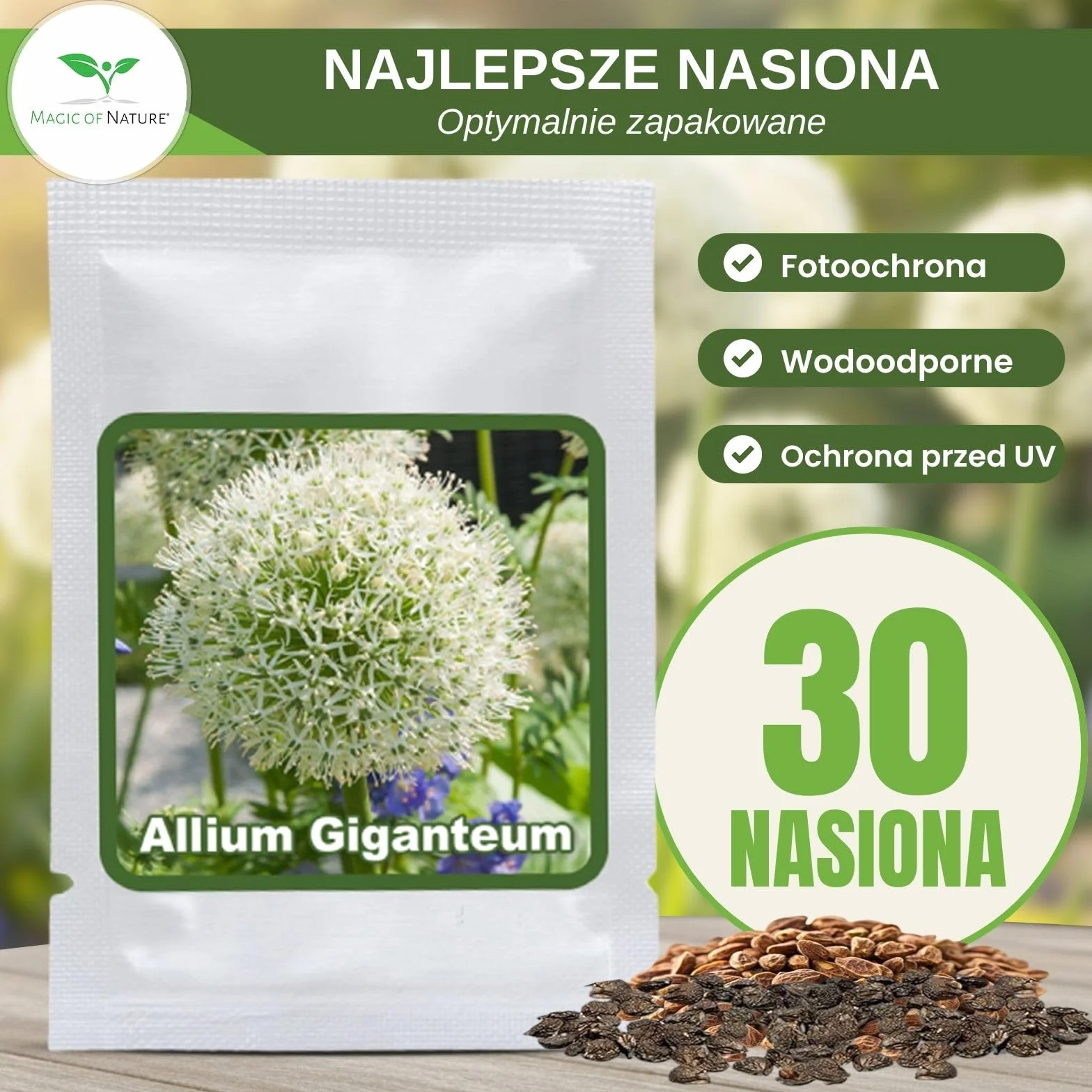 Magic of Nature Nasiona Czosnku Olbrzymiego (30 szt.) Allium giganteum, mrozoodporny i wieloletni - białe kwiaty do 150cm do Twojego ogrodu