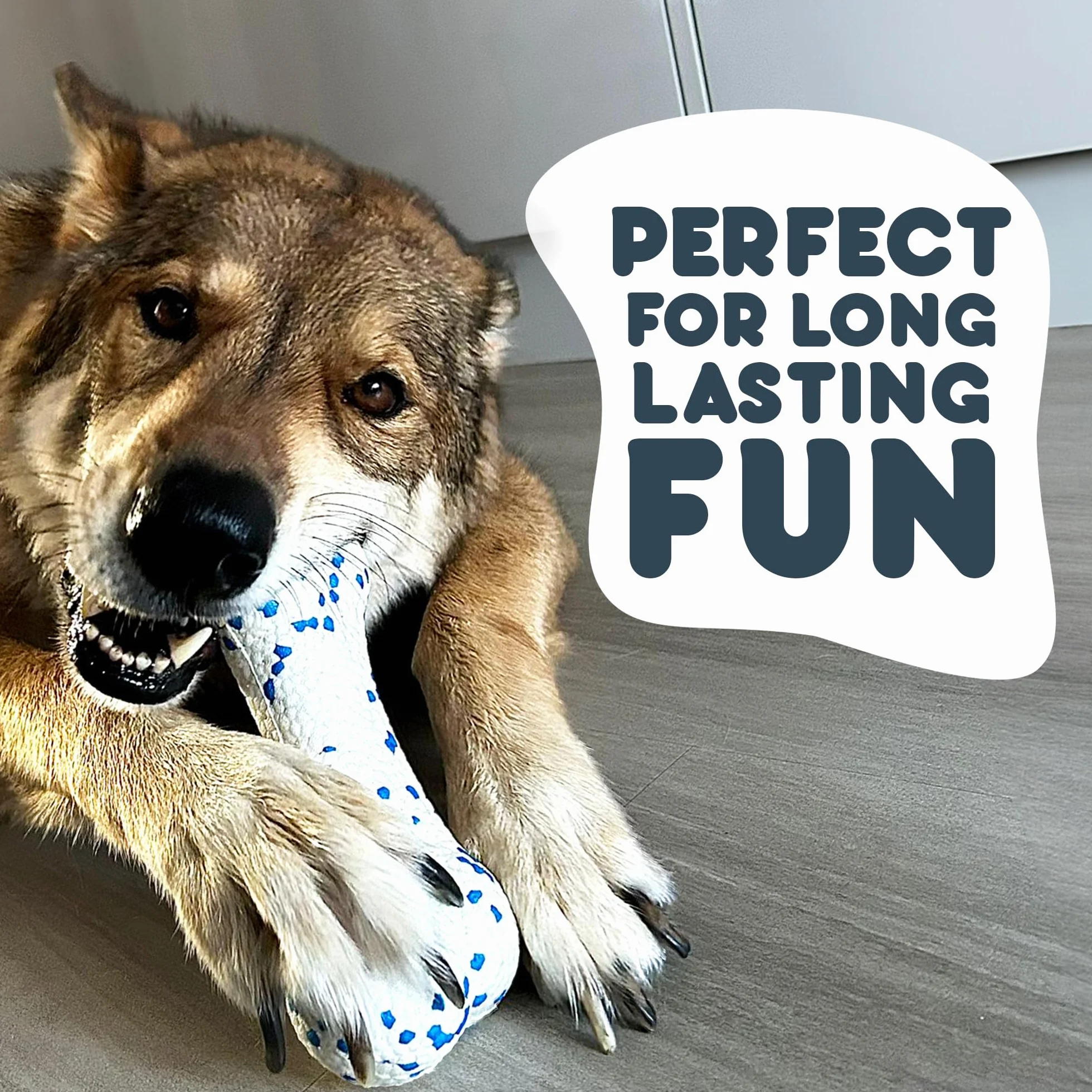 Petface Outdoor Paws Mighty Bone zabawka dla psa, bardzo mocna (1 szt.)