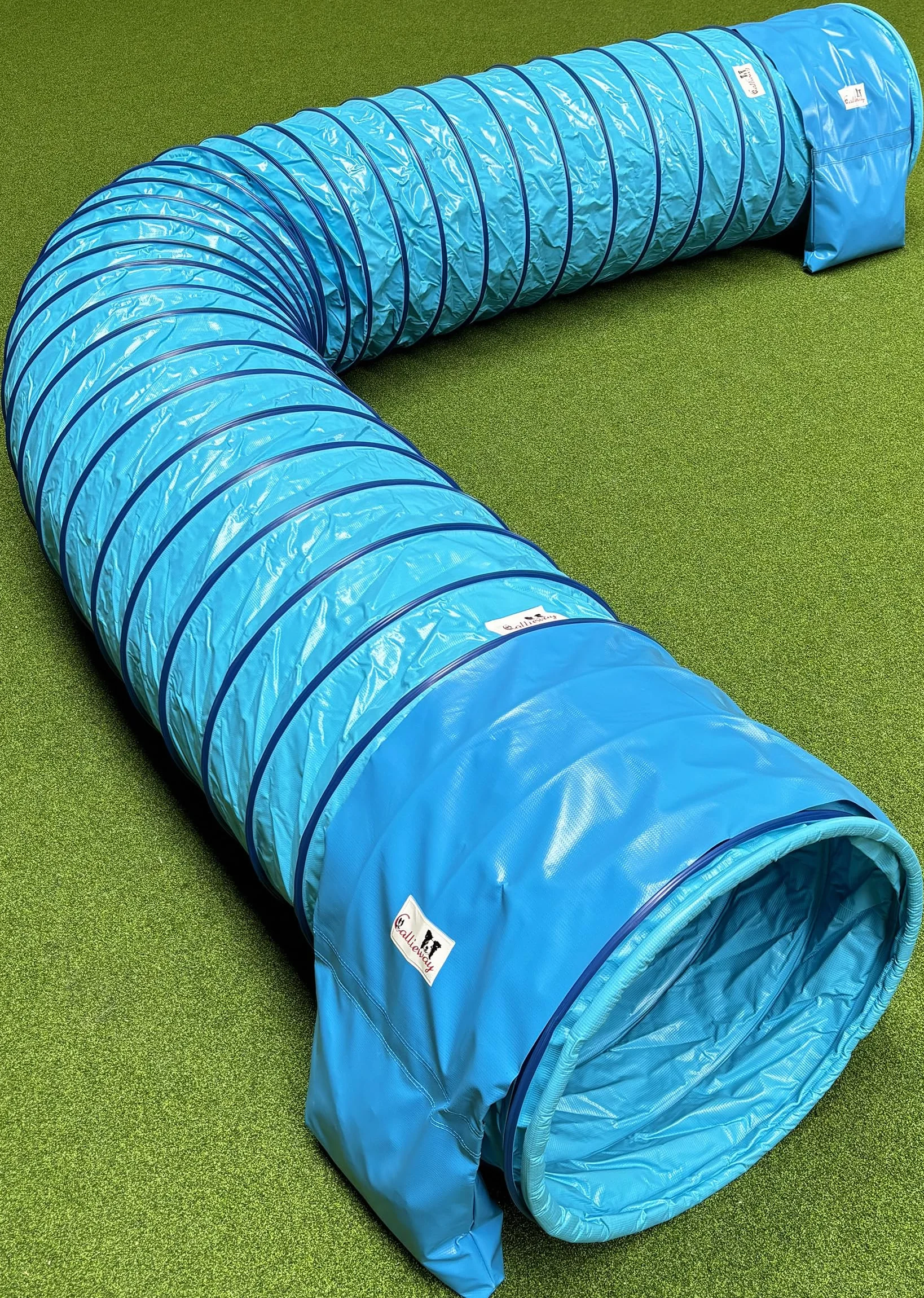 Callieway® Tunel Agility dla Psa Profi 4m Niebiesko-cyjan