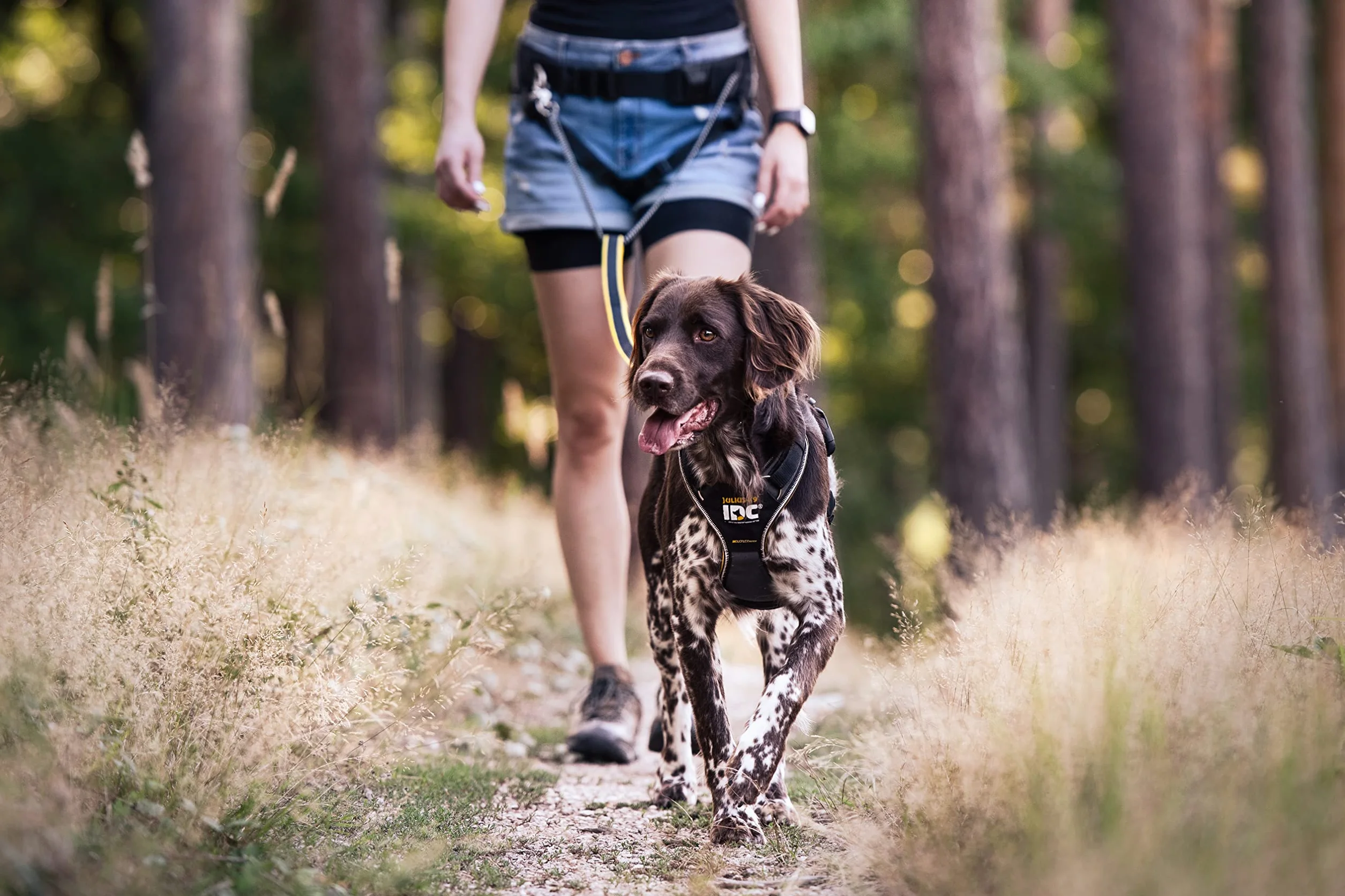 Julius-K9 Smycz do joggingu 1,3 m żółta