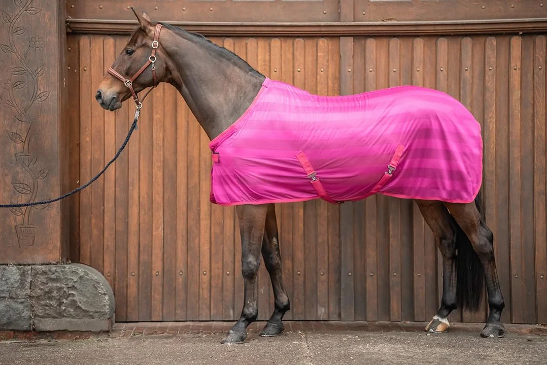 Equinate Koc na muchy Guardian z korekcją krzyżową i poduszką w kłębie 165 cm Raspberry – koc z egzemą ze skuteczną ochroną przed muchami i owadami – koc dla konia – koc pastwiskowy