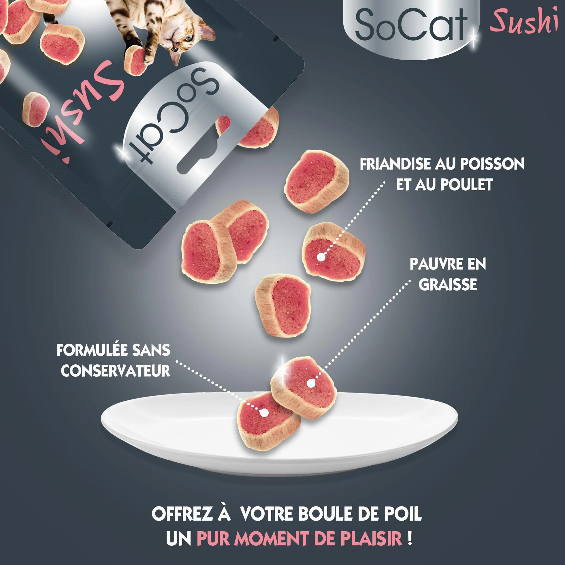 Miouly Riga Sushi Przysmak dla kota z kurczakiem i rybami 100 g