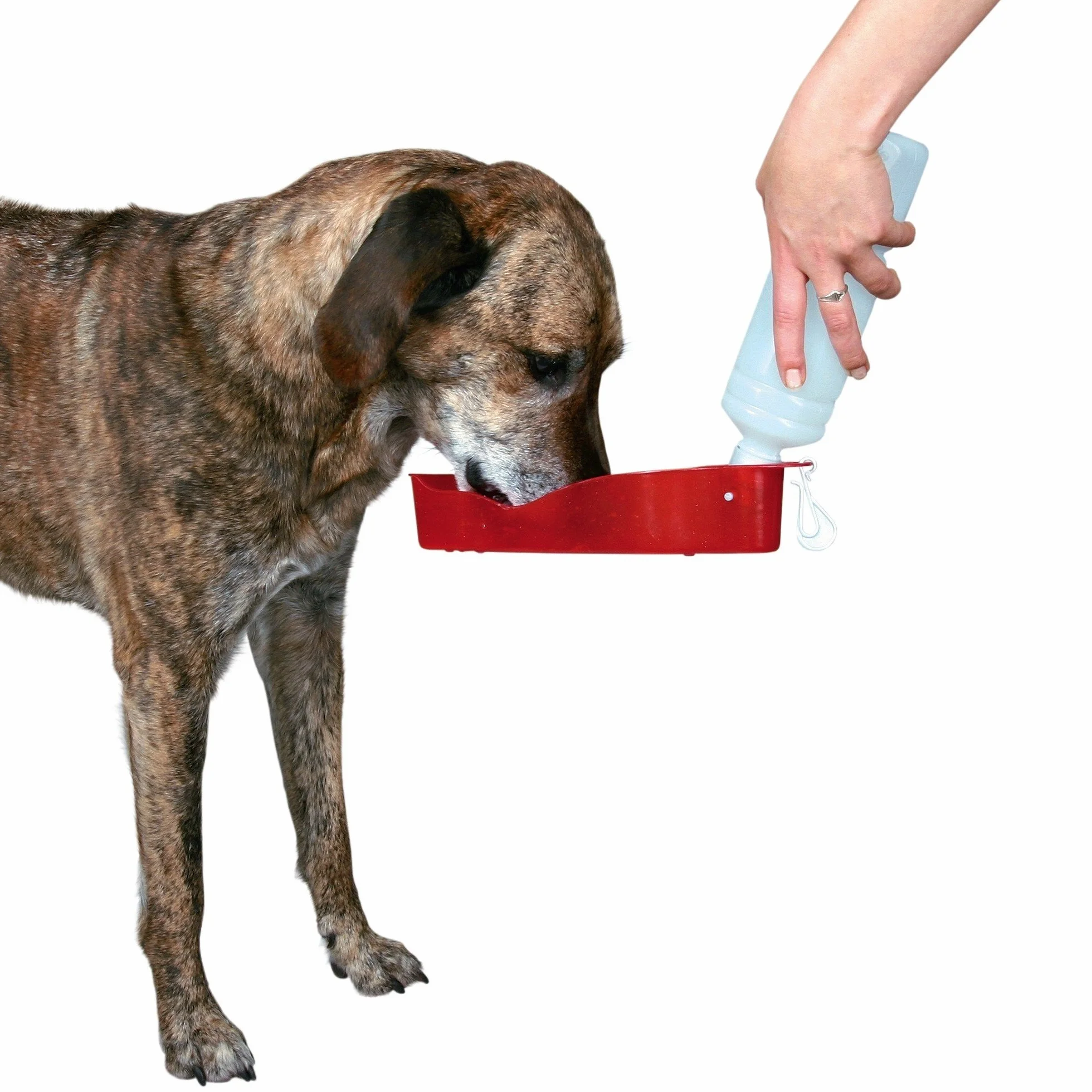 Trixie Dog on Tour butelka do picia z miską 700 ml