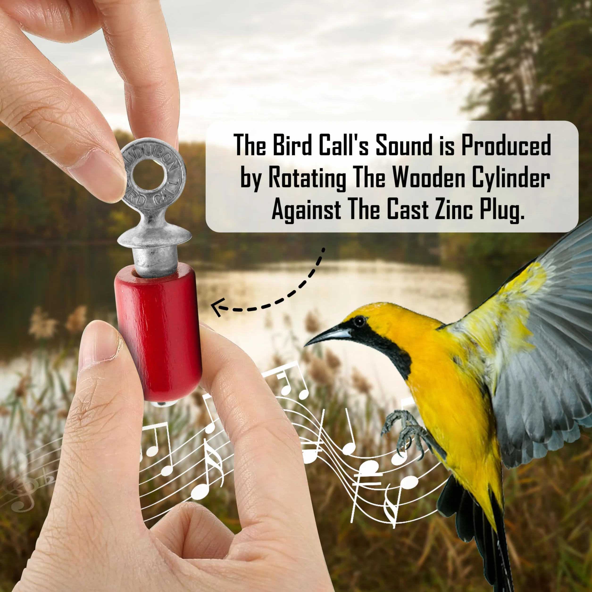 Audubon Bird Call