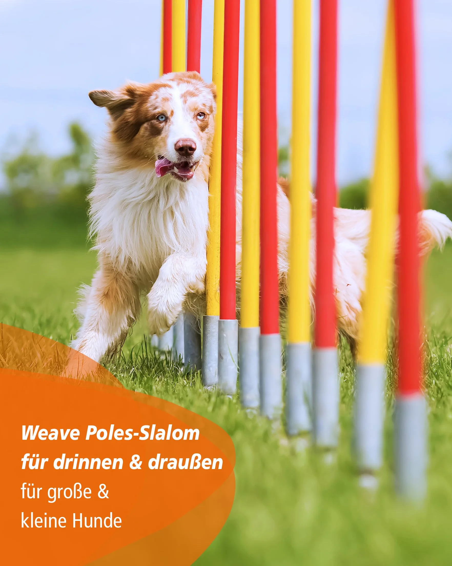 Metal Złącze do 2by2 Weave Poles do Rozbudowy Modułów Slalom