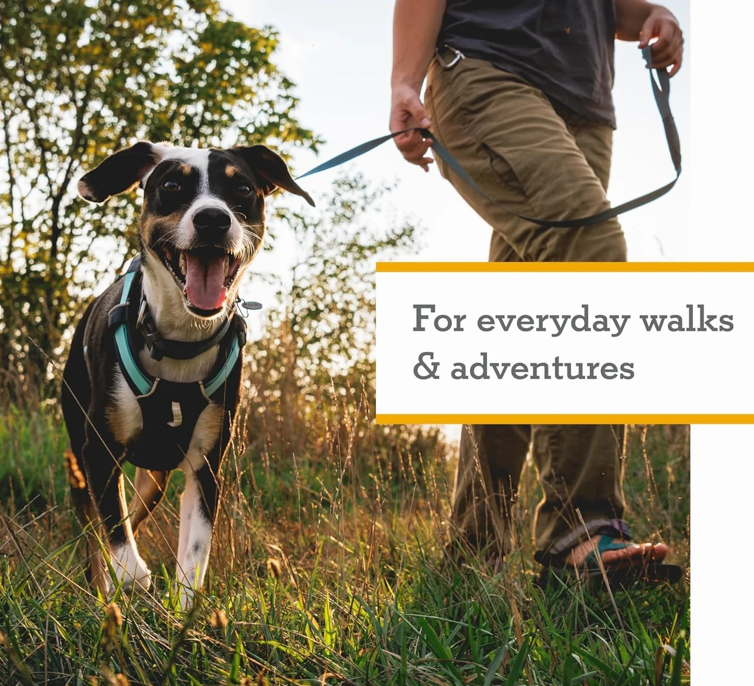 RUFFWEAR Uprząż dla psa Hi & Light, odblaskowa, regulowana, zapobiegająca ciągnięciu, rozmiar XXXS