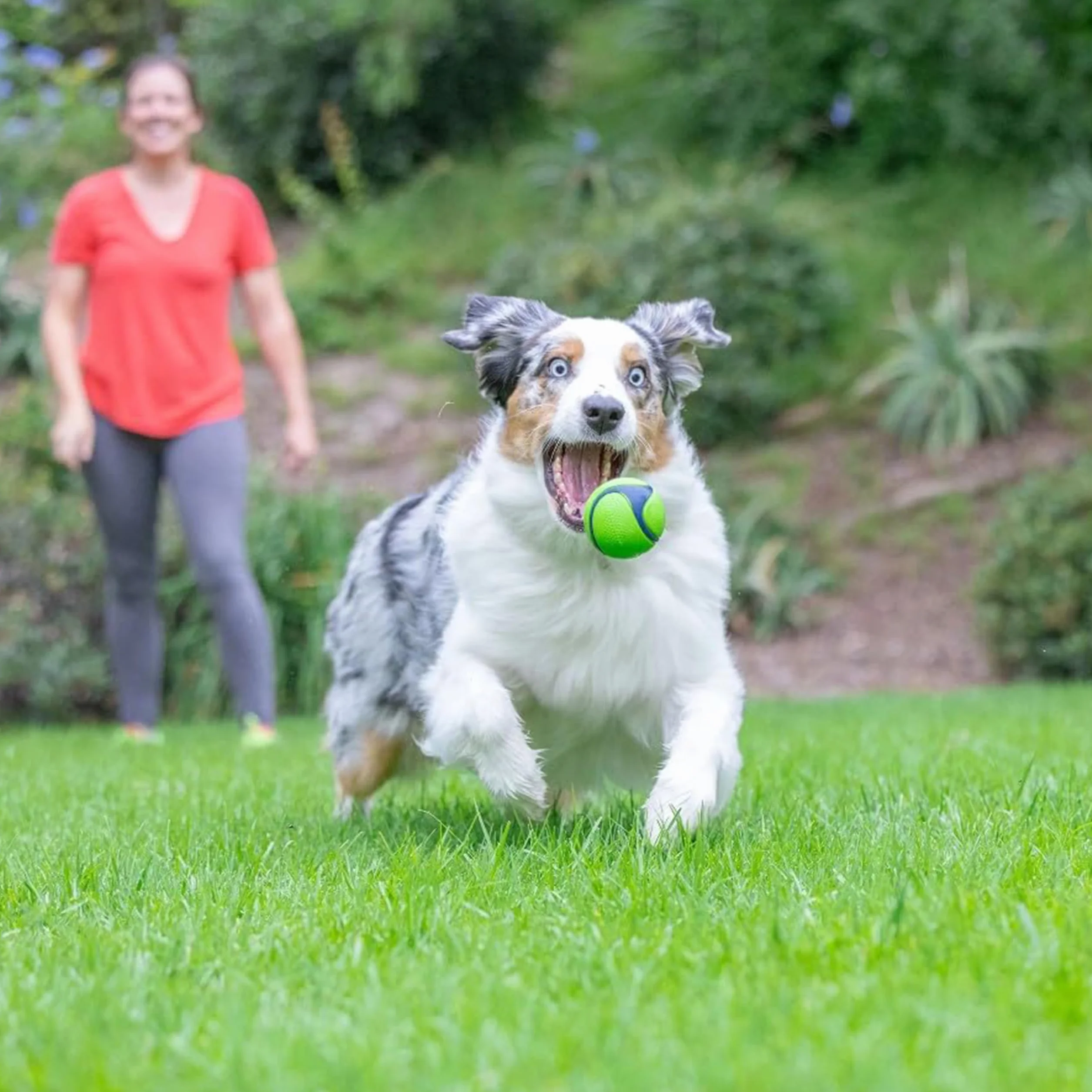 Chuckit! Sniff Ball zabawka dla psa, trwała, pachnąca gumowa piłka, średnia