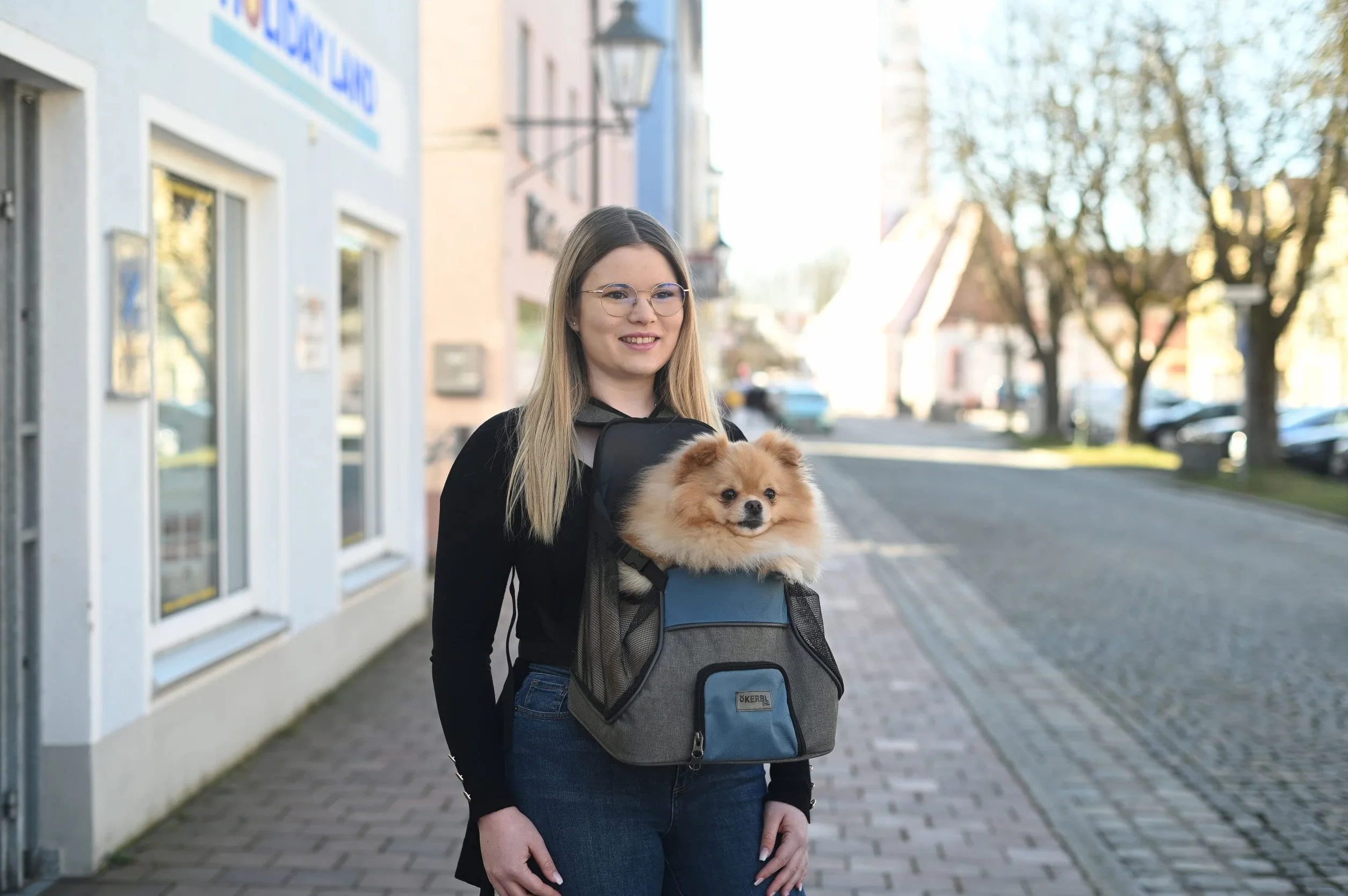 Kerbl Pet Przednia torba Vacation 31 x 24 x 38 cm, szara/niebieska