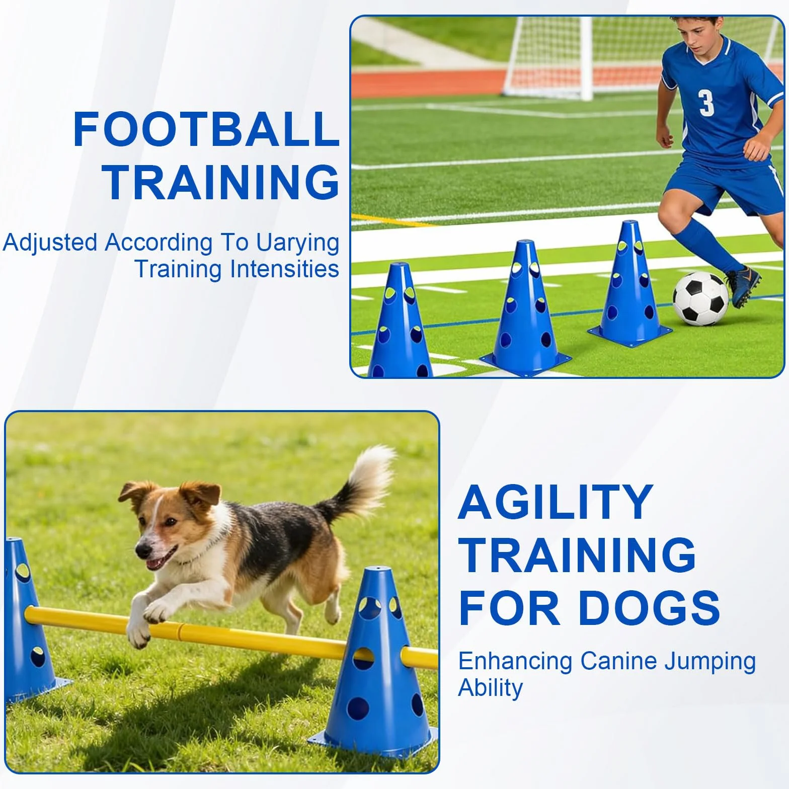 Agility zestaw dla małych psów Cavaletti, płotki wtykowe, akcesoria treningowe, 10 stożków, 5 drążków