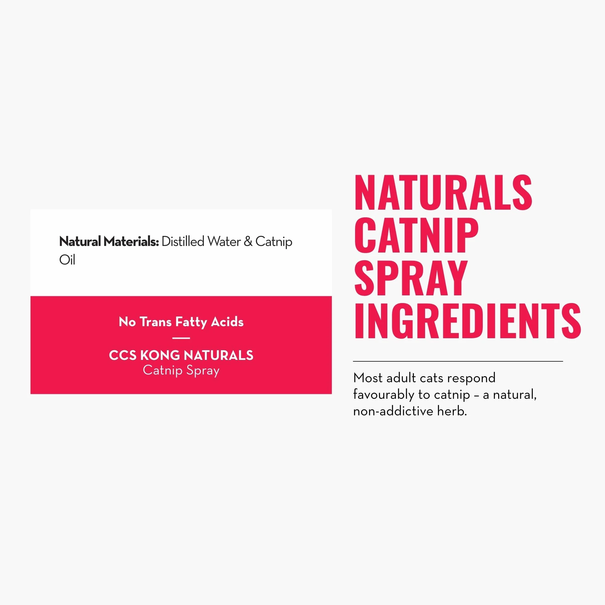 KONG – Naturals Catnip spray dla kotów – 30 ml (1 Fluid Ounce)