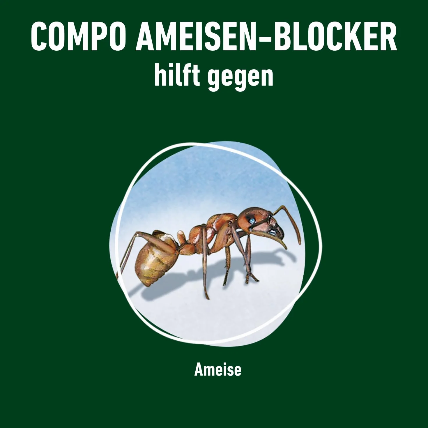 COMPO Bloker mrówek 250 g