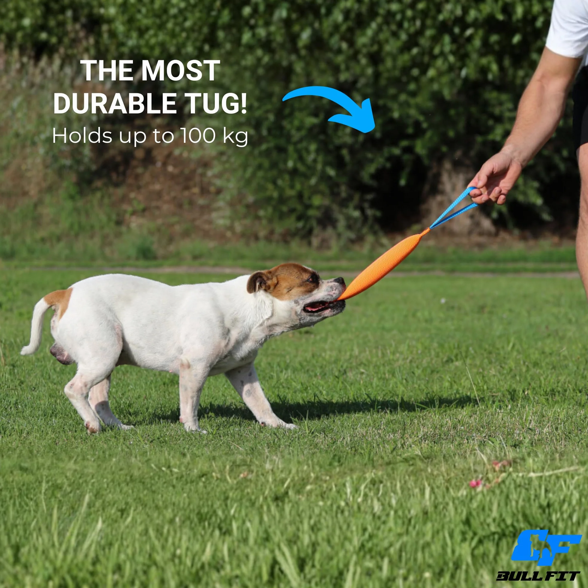 Bull Fit Szarpak dla psa 25 cm z rączką zabawka treningowa