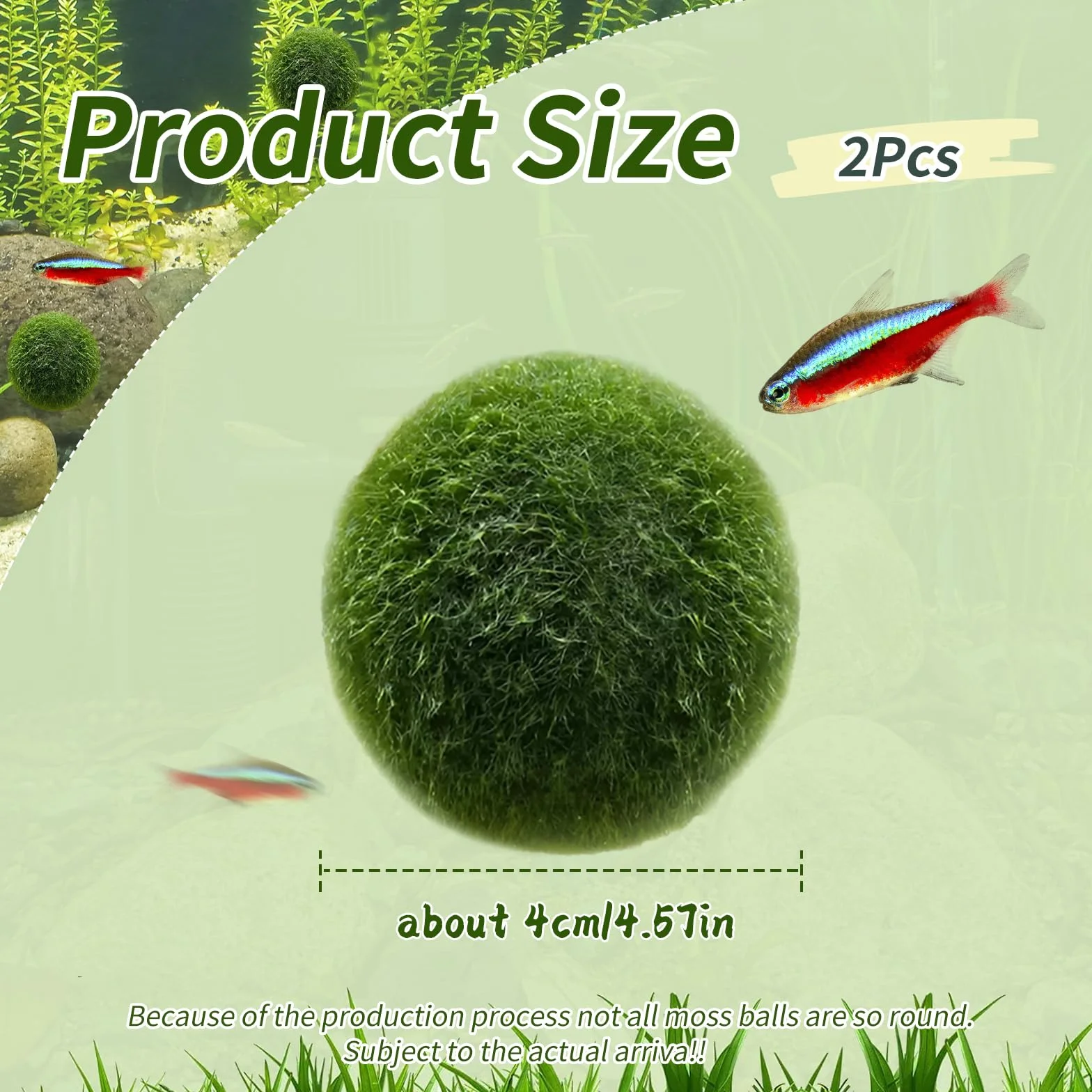 Zestaw 2 kulek z zielonych wodorostów do akwarium (L)