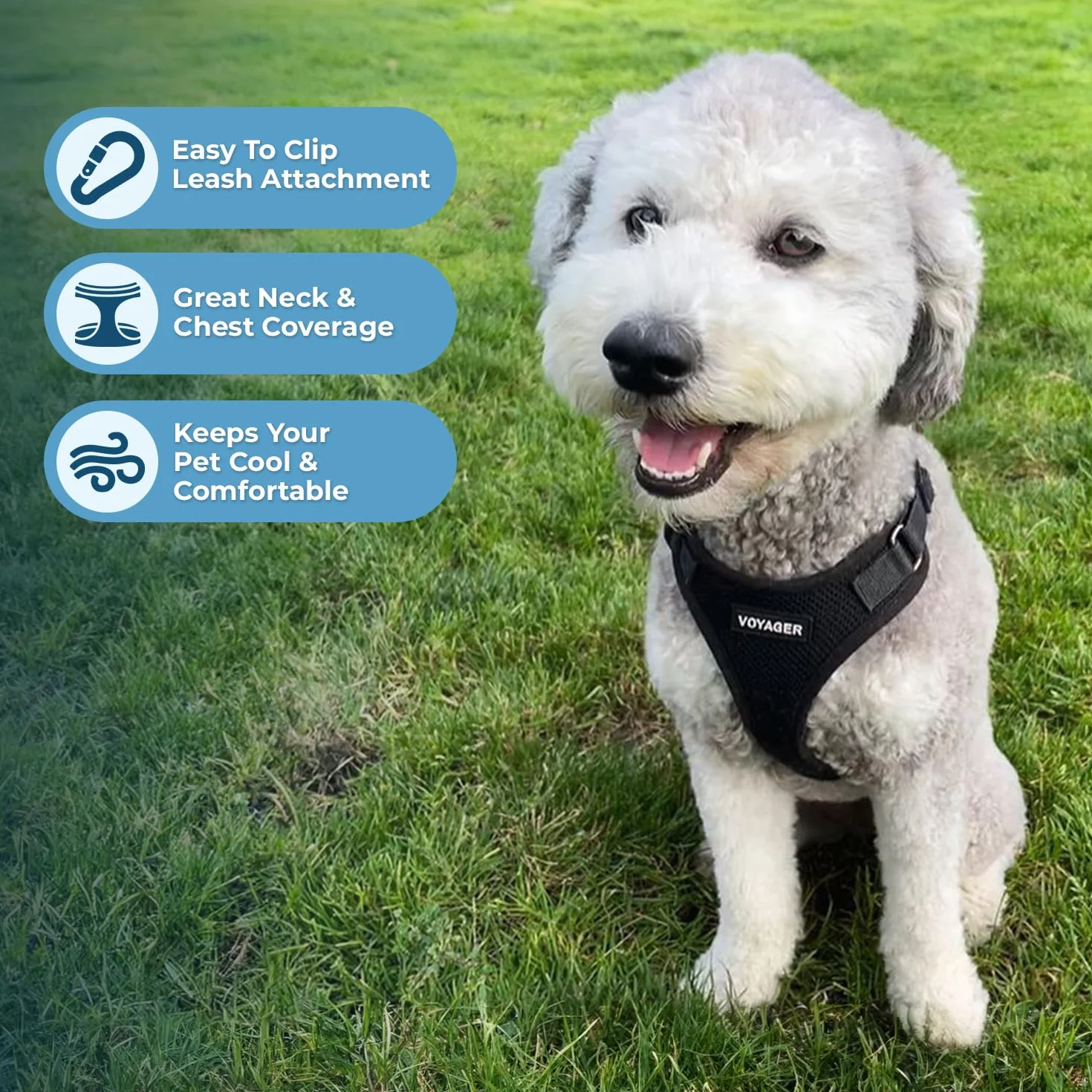 Voyager Uprząż dla zwierząt domowych z zatrzaskiem na każdą pogodę, regulowana uprząż dla kotów i psów od Best Pet Supplies - czarna, XS