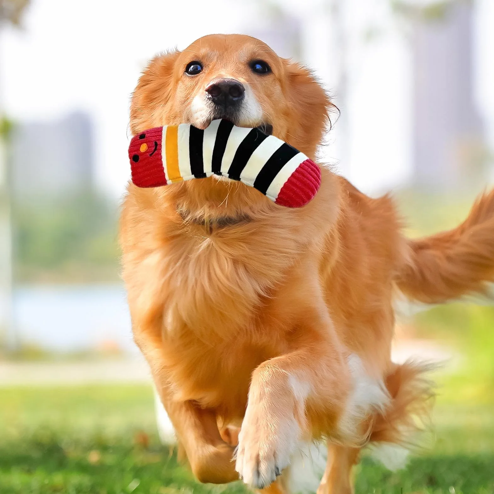Interactive Dog Toy - Squeaky Chew Tear Resistant Pet Plaything | Fun Sound Making Puppy Training with Bite Friendly Texture Entertainment for Beach, Lawn, Garden, Park
