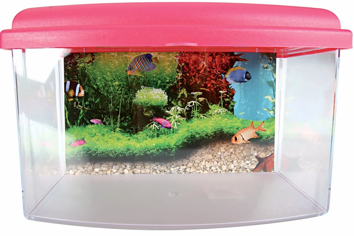 Zolux TravelBox II Akwarium Transportowe 22 cm