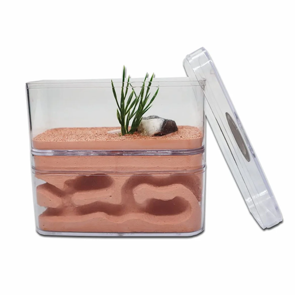 Tynkowe gniazdo mrówek dom mrówka gipsowa farma mrówek Formikarium siedlisko zwierzę domowe mrowisko owady zamek warsztat willa z miejscem do karmienia