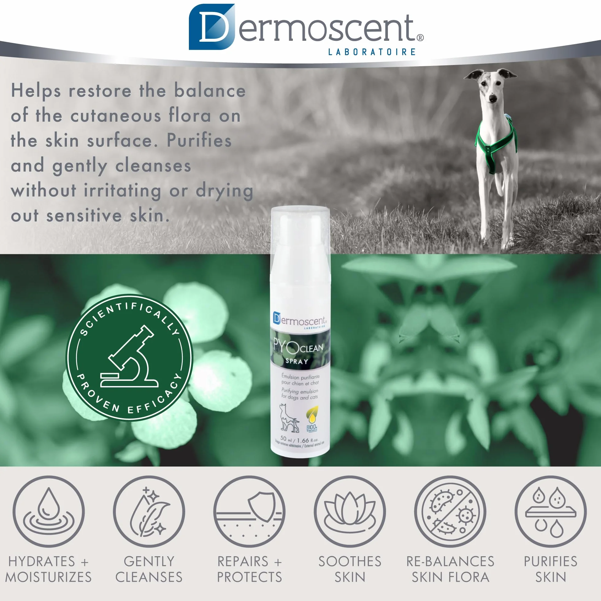 Dermoscent PYOclean Spray dla psów i kotów – 50 ml