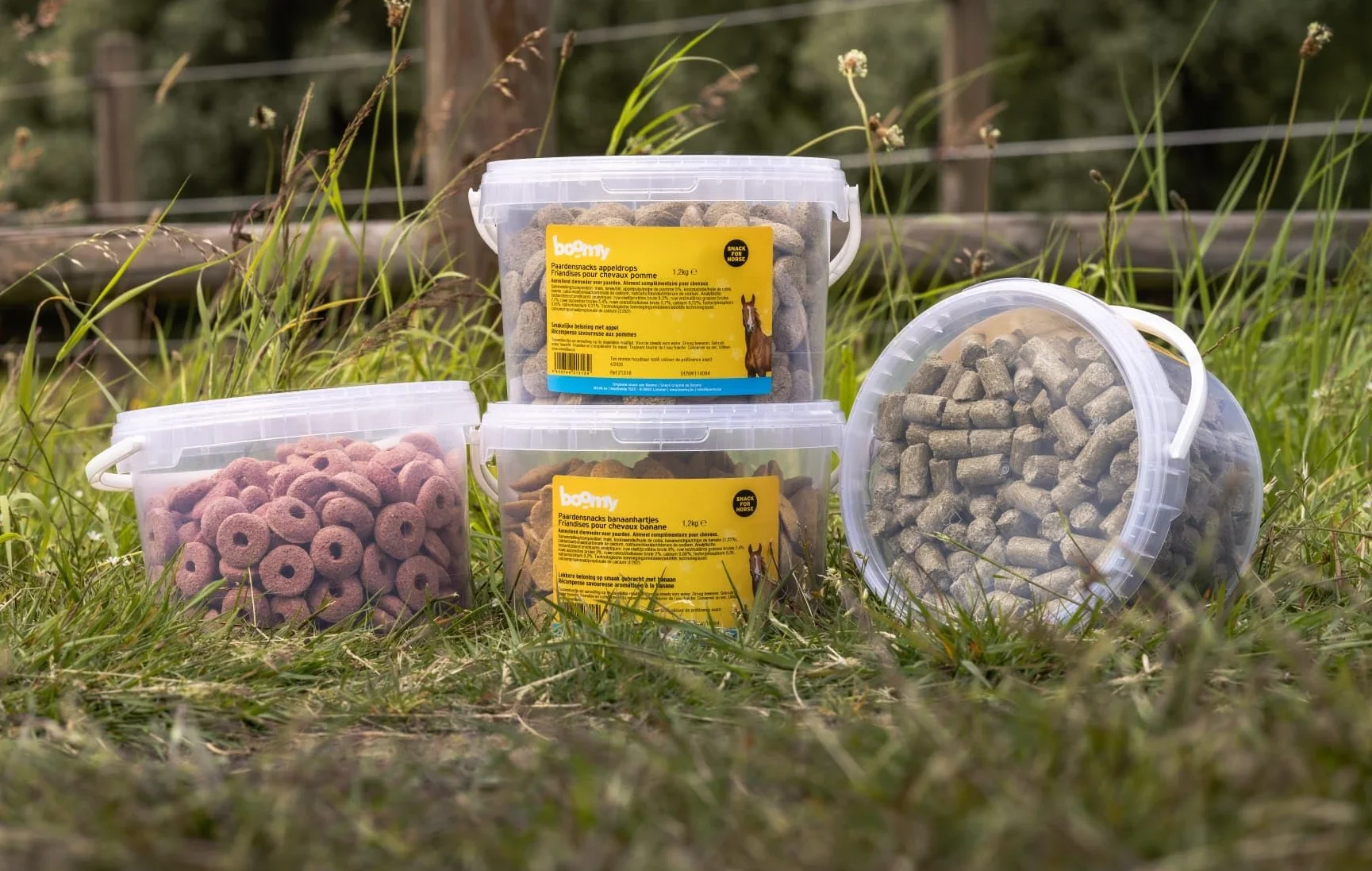 Drzewo - Przysmaki dla koni - Przysmaki dla koni z owocami dzikich zwierząt - 1,2 kg