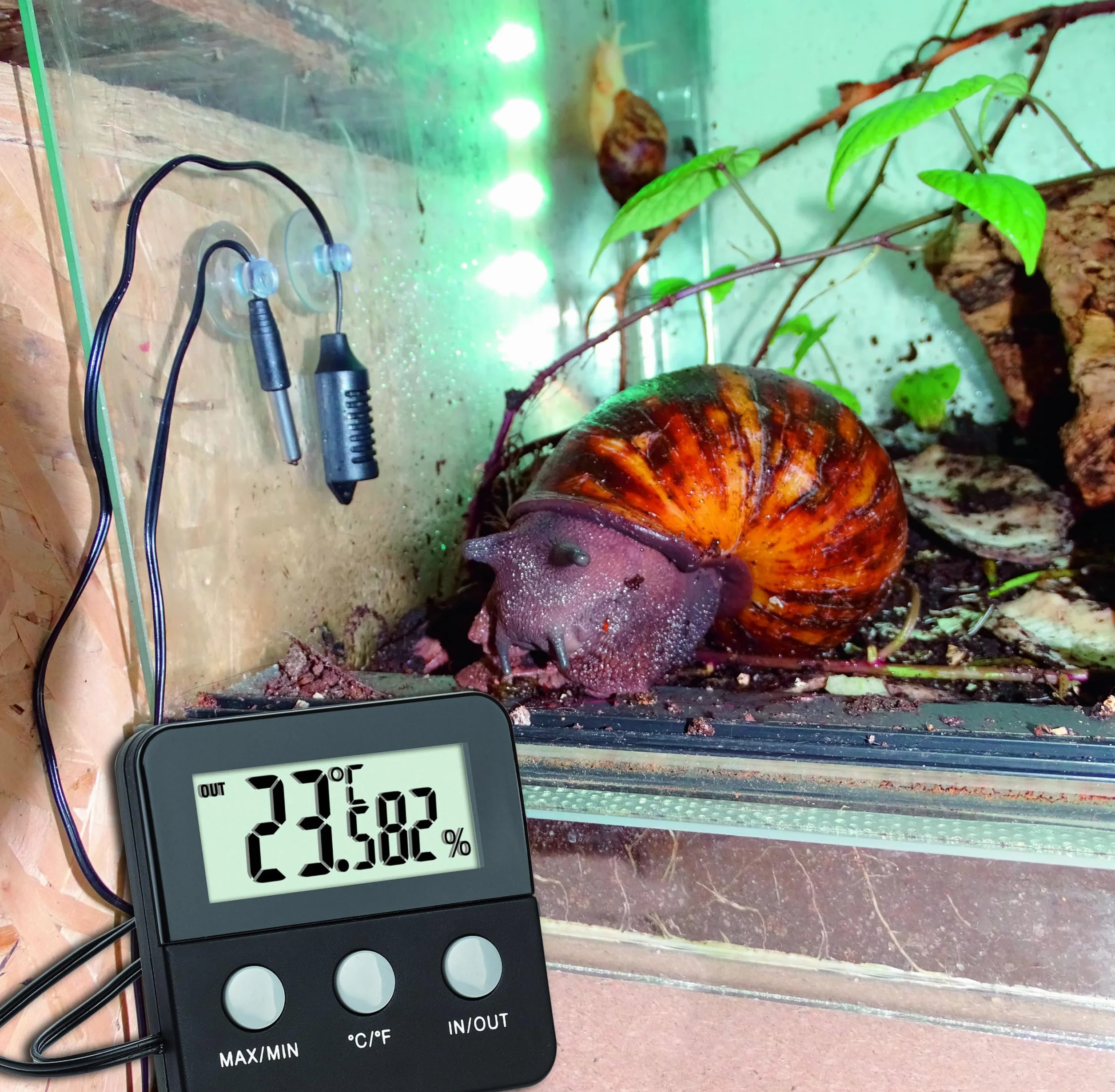 TFA Dostmann Termo-higrometr cyfrowy Terracheck 30.5044.01 sonda kablowa czarny do terrarium