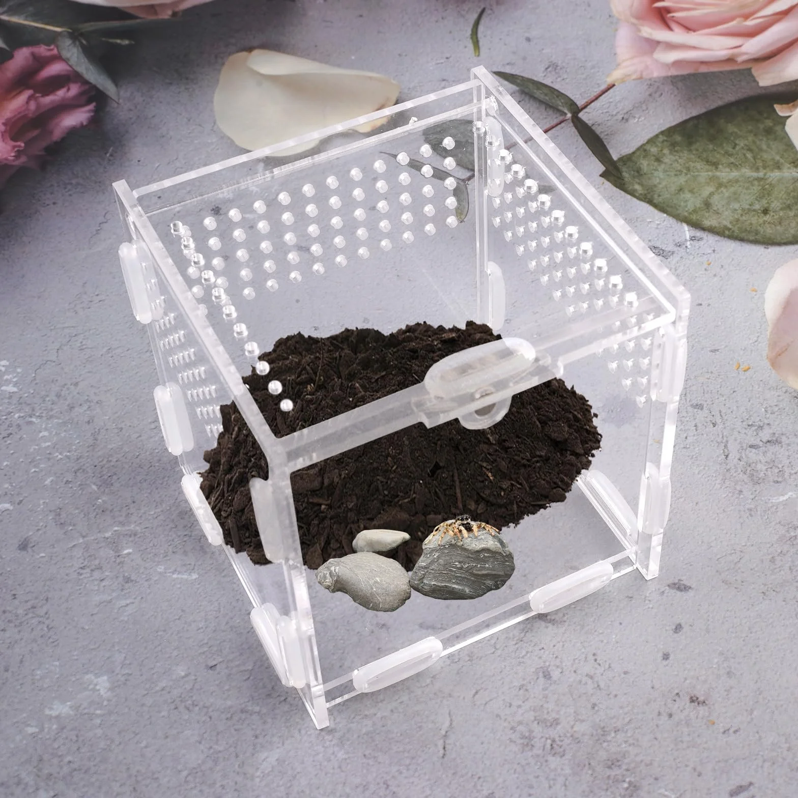 Pudełko do karmienia gadów, 10 x 10 x 10 cm, akrylowe ślimaki terrarium, zmontowany zestaw do terrarium, akrylowe, owady, mini insektarium, małe akrylowe pudełko do karmienia pająków, skorpiona