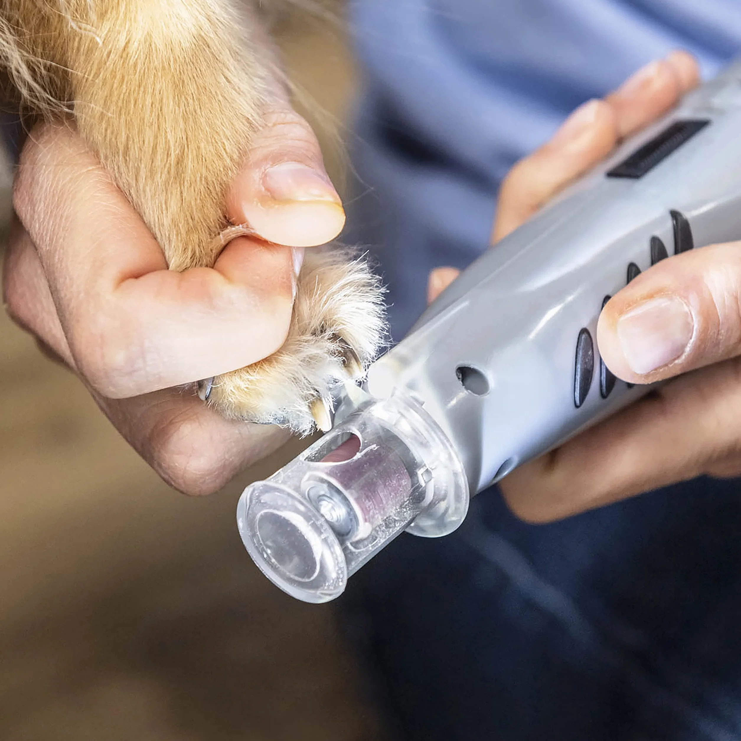 Furminator Szlifierka do pazurów dla psów i kotów – bezprzewodowa szlifierka do paznokci z oświetleniem LED i 2 poziomami prędkości