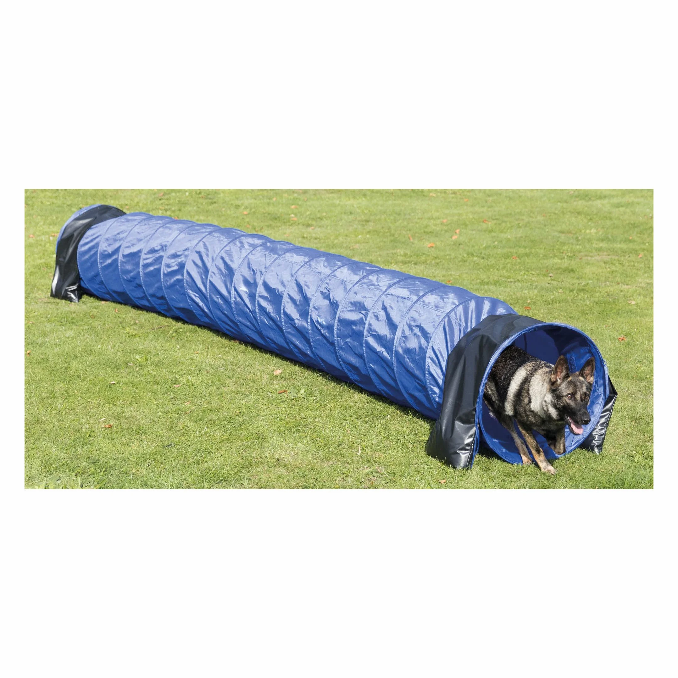 Trixie Tunel ø 60 cm 5 m Niebieski