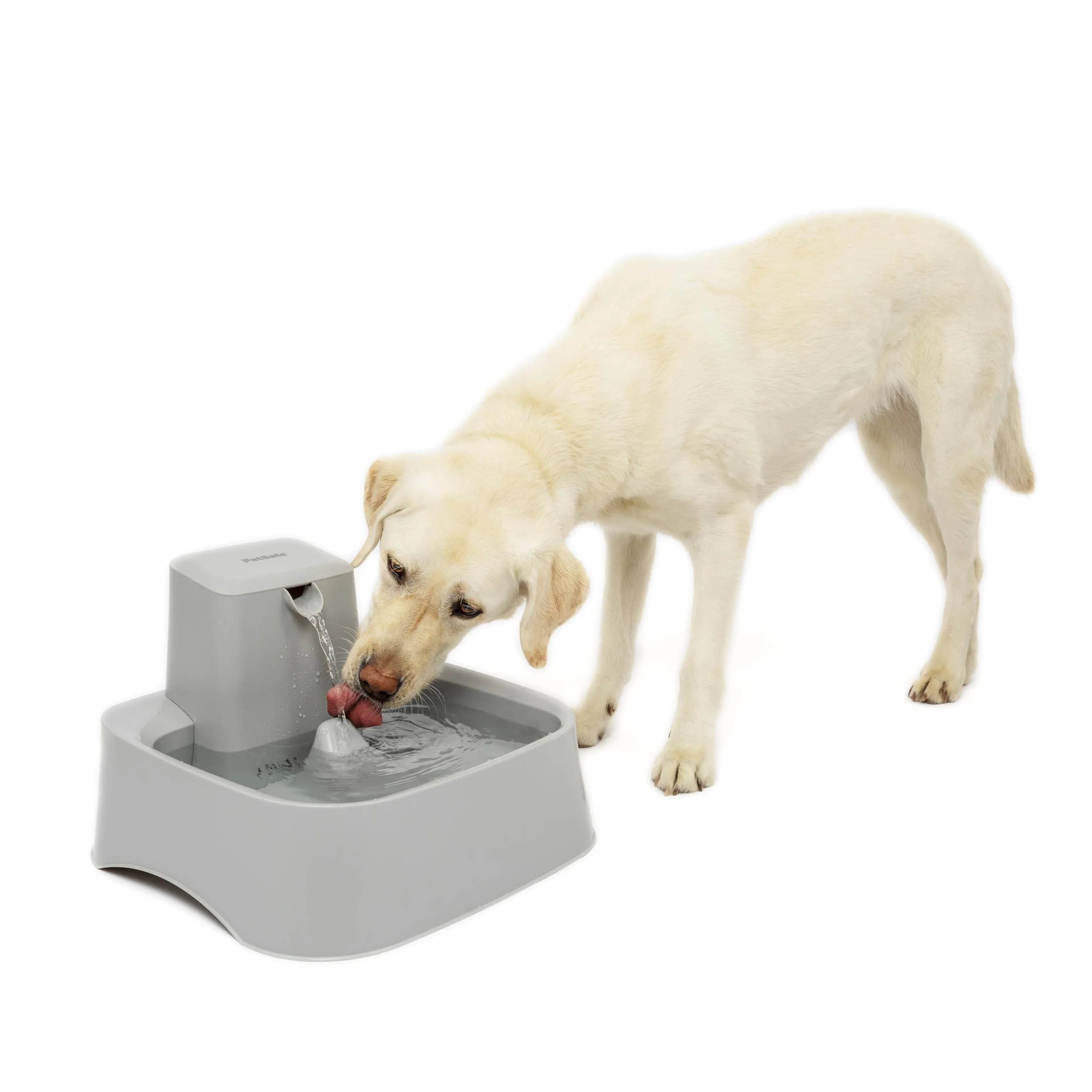 PetSafe Drinkwell fontanna dla psów i kotów, odpowiednia dla dużych ras psów i wielu gospodarstw domowych, łatwa do czyszczenia konstrukcja, filtr w zestawie, 7,5 l