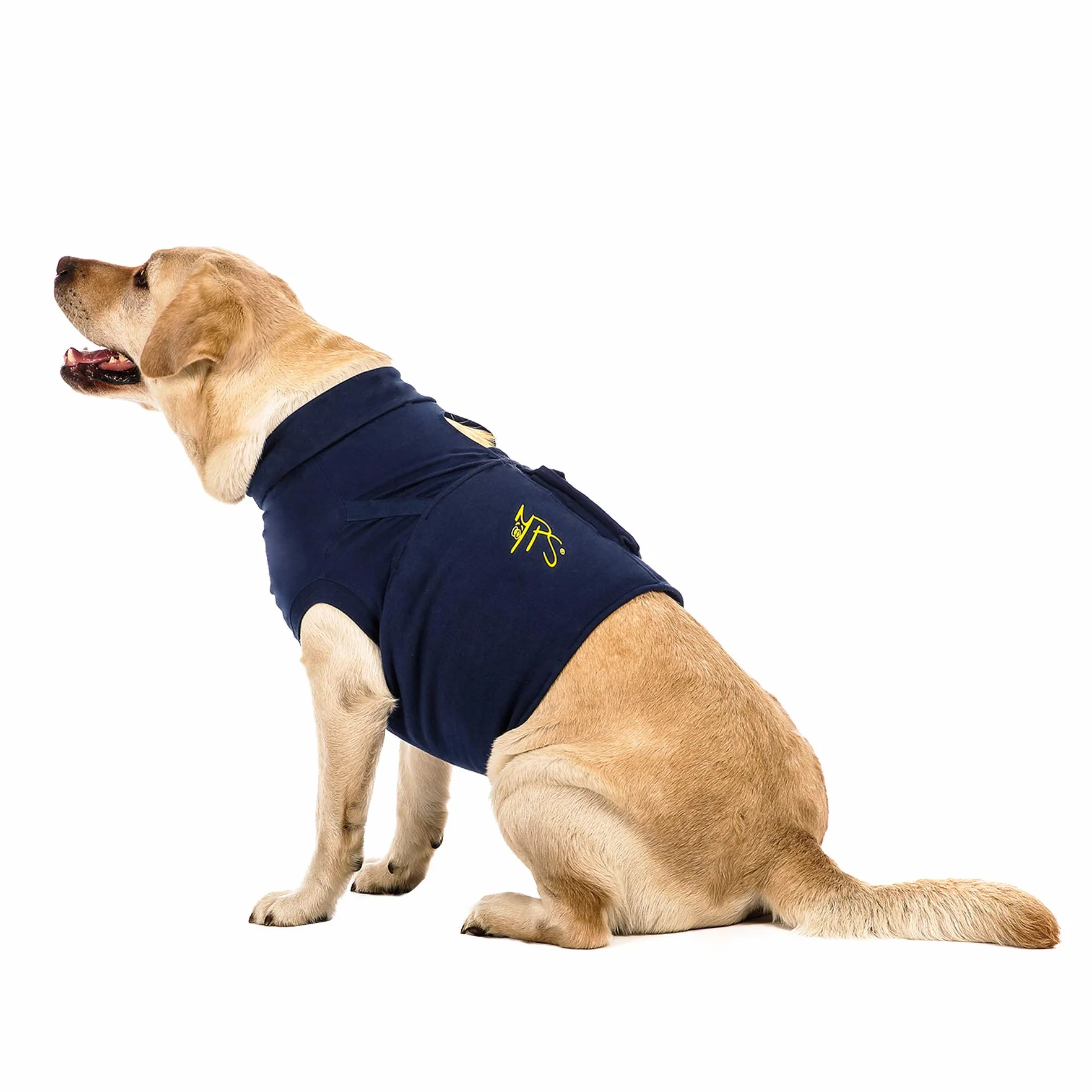 MPS Medical Pet Shirt, Top Body Shirt, Duży pies