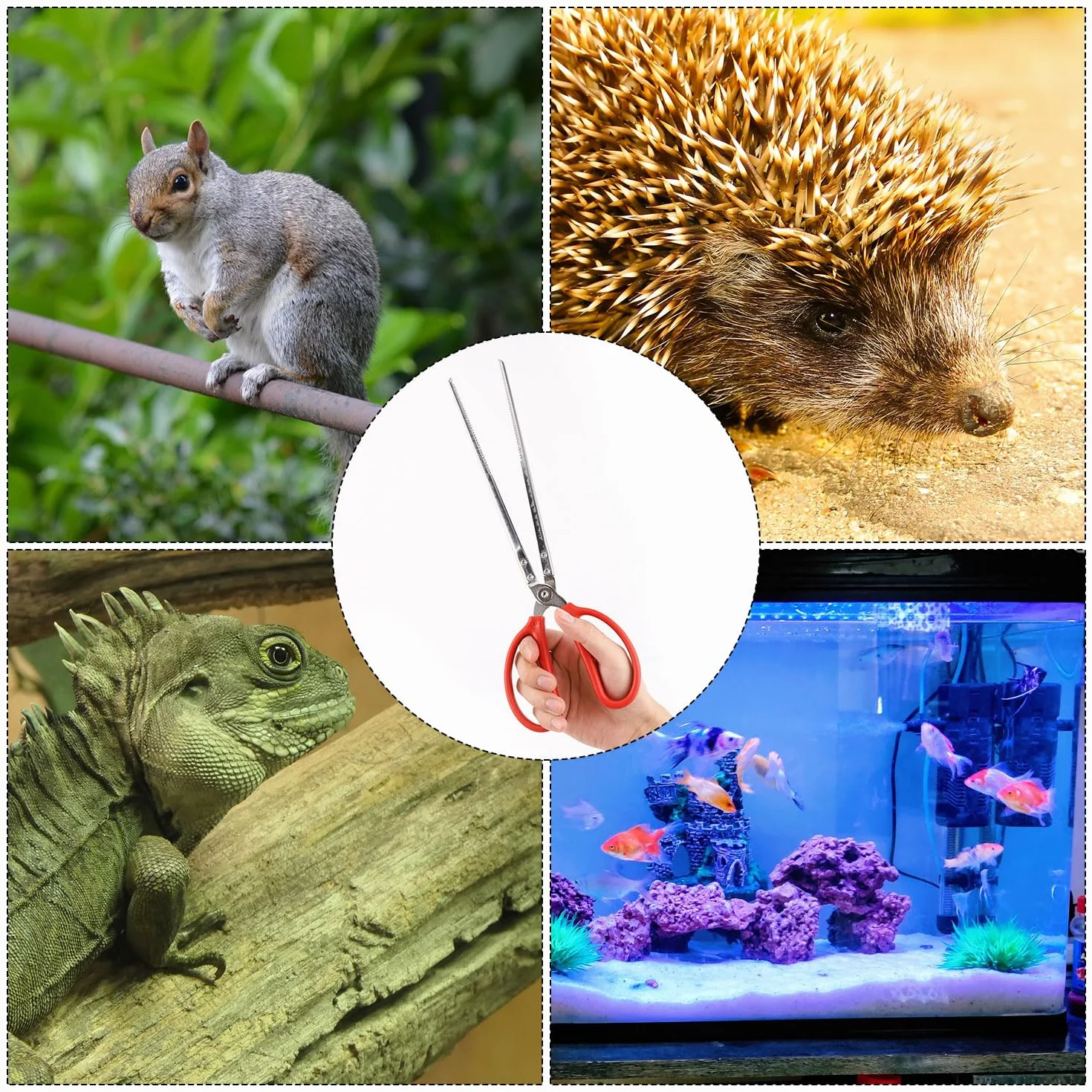 Szczypce do Karmienia Gadów 37,5cm Antyposlizgowe Dlugie Pesety do Terrarium