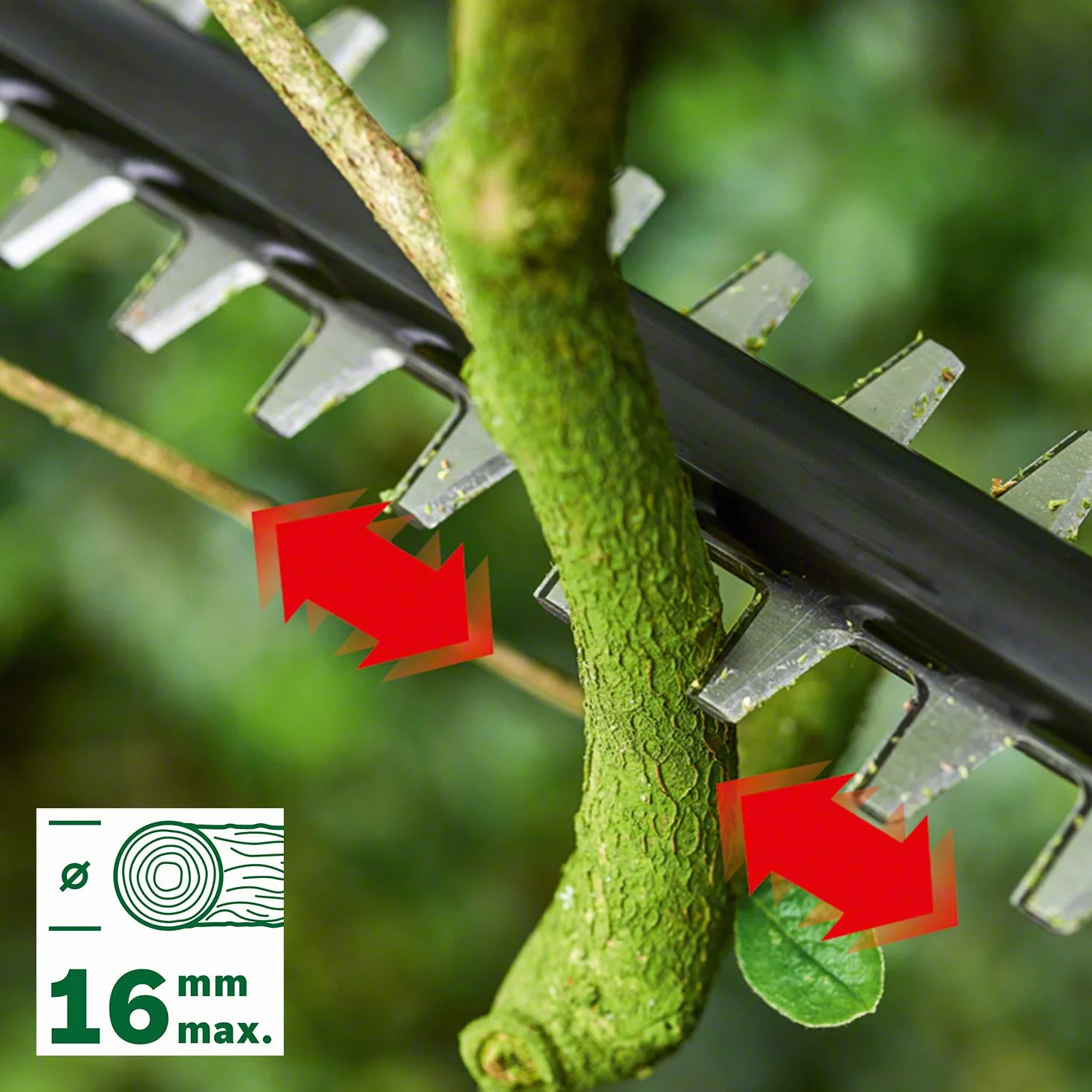 Bosch Home and Garden Akumulatorowy sekator teleskopowy UniversalHedgePole 18 (1 akumulator, system 18 V, w kartonie)