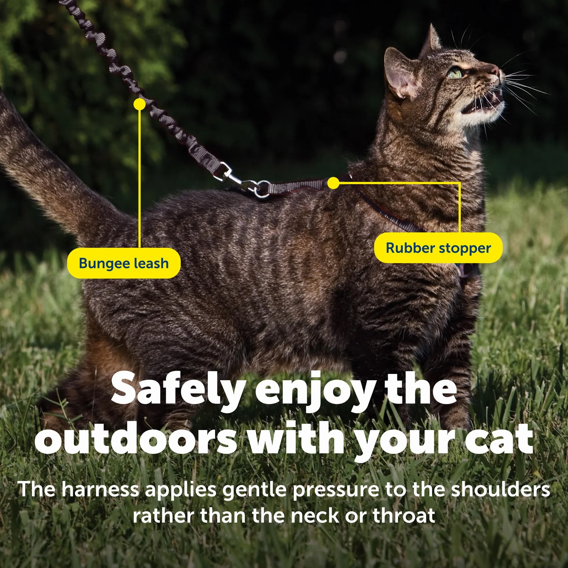 PetSafe Come With Me Kitty uprząż i smycz na bungee, rozmiar M, czarny/srebrny