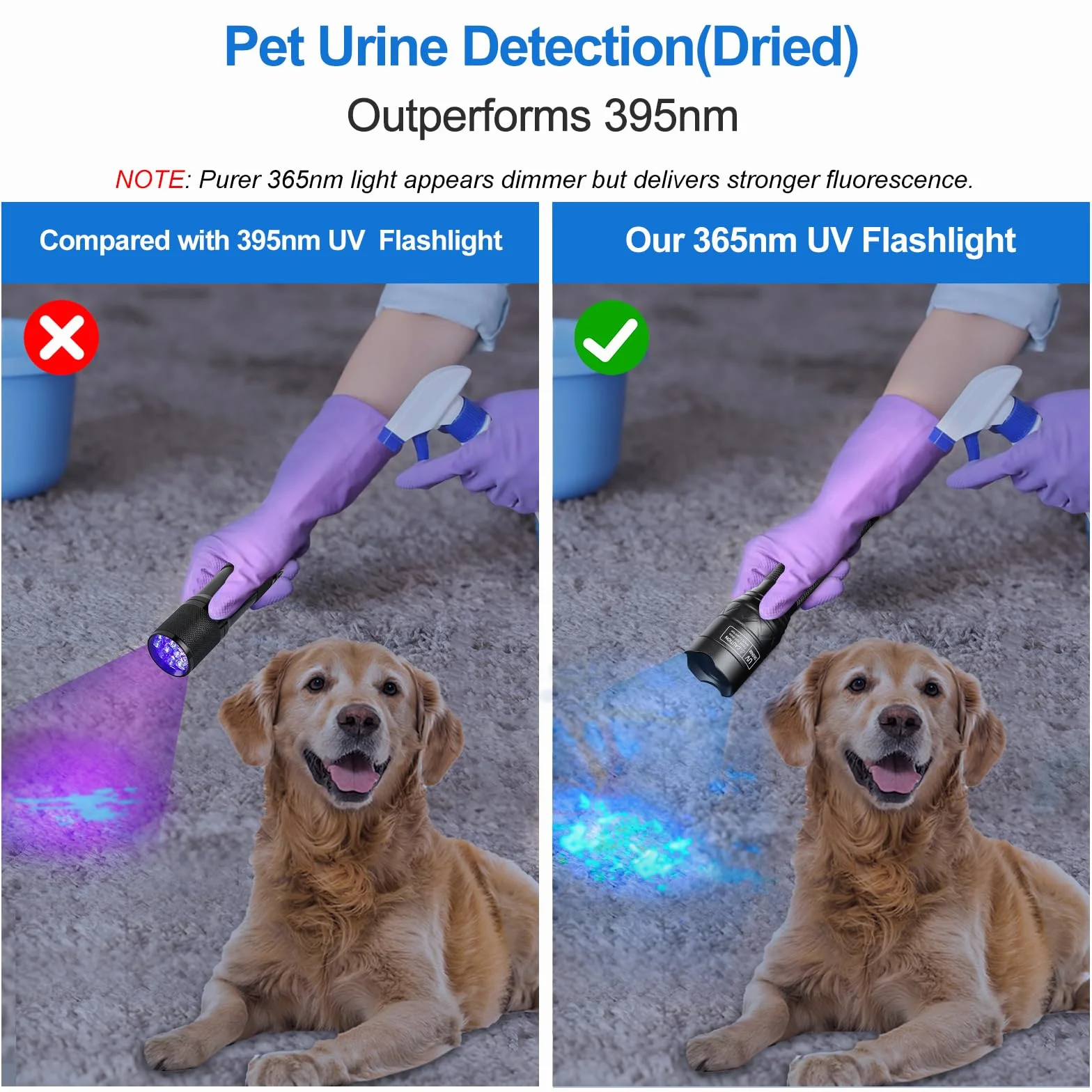 Vansky Blacklight UV Light 365nm latarka UV detektor moczu dla zwierząt psów kotów polowanie na skały